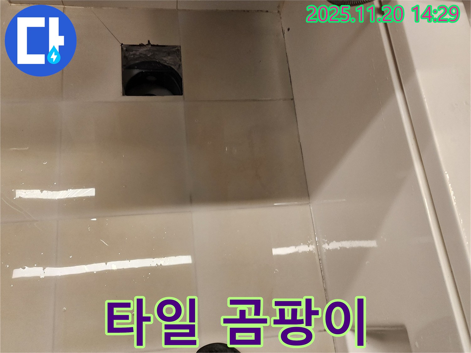 가산면 마산리 욕실 배수구 누수 - 배수구 주변 타일 틈새 곰팡이 발생 상태를 점검