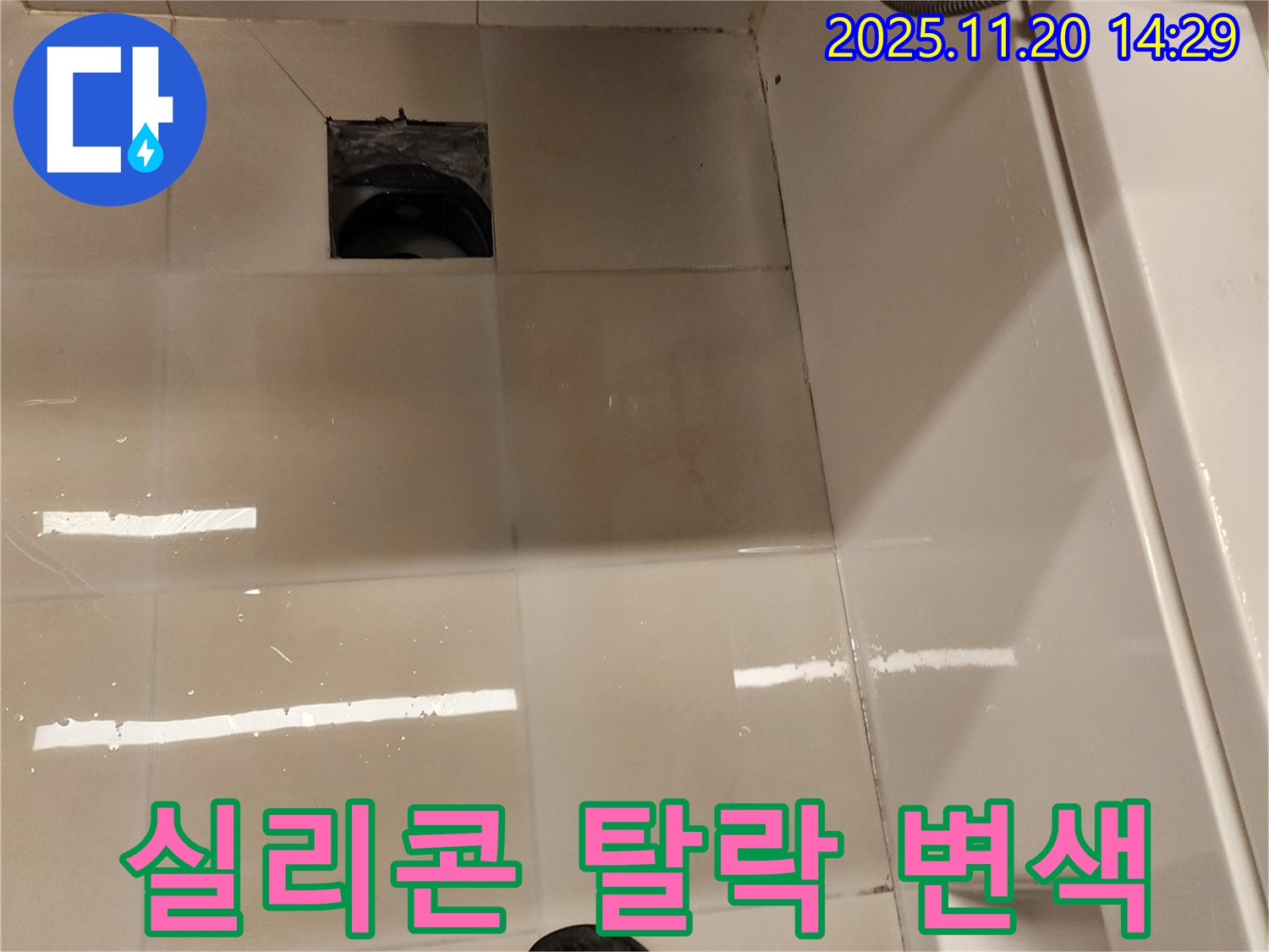 가산면 마산리 욕실 배수구 누수 - 실리콘 탈락 및 변색으로 인한 누수 위험 점검