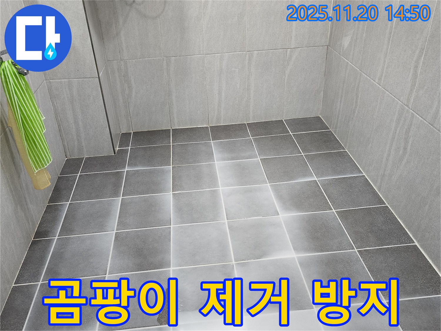 욕실 타일 틈새에 곰팡이가 심하게 핀 모습 - 곰팡이 제거가 시급합니다.