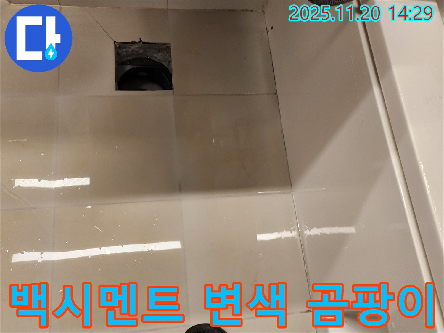 포천 가산 욕실 배수구 누수 - 백시멘트 변색 및 곰팡이 발생 상태 점검