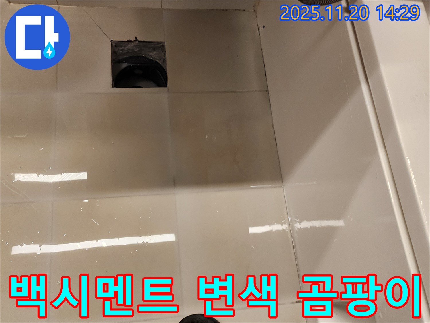 포천 가산 욕실 배수구 누수 - 백시멘트 변색 및 곰팡이 발생 상태 점검