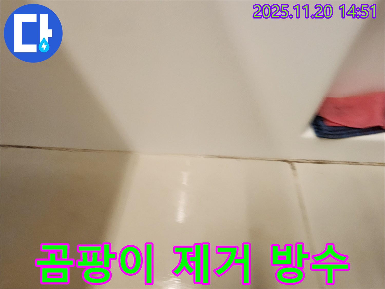 포천 가산면 마산리 - 곰팡이 핀 타일 틈새 누수 - 곰팡이 제거 후 완벽 방수 시공으로 곰팡이와 누수 걱정 없이!
