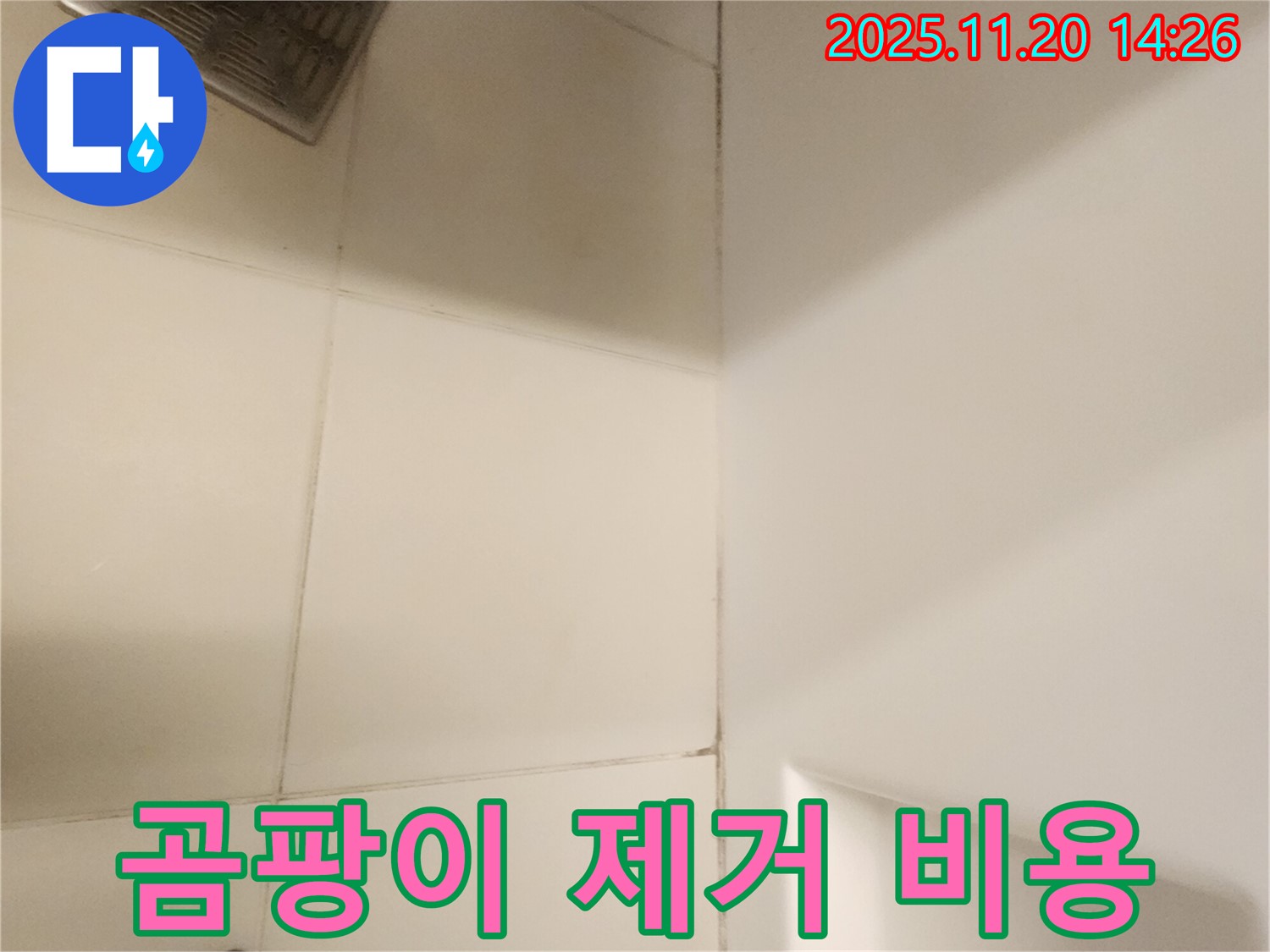 포천 가산면 - 욕실 타일 곰팡이 제거, 합리적인 비용으로 해결하세요!