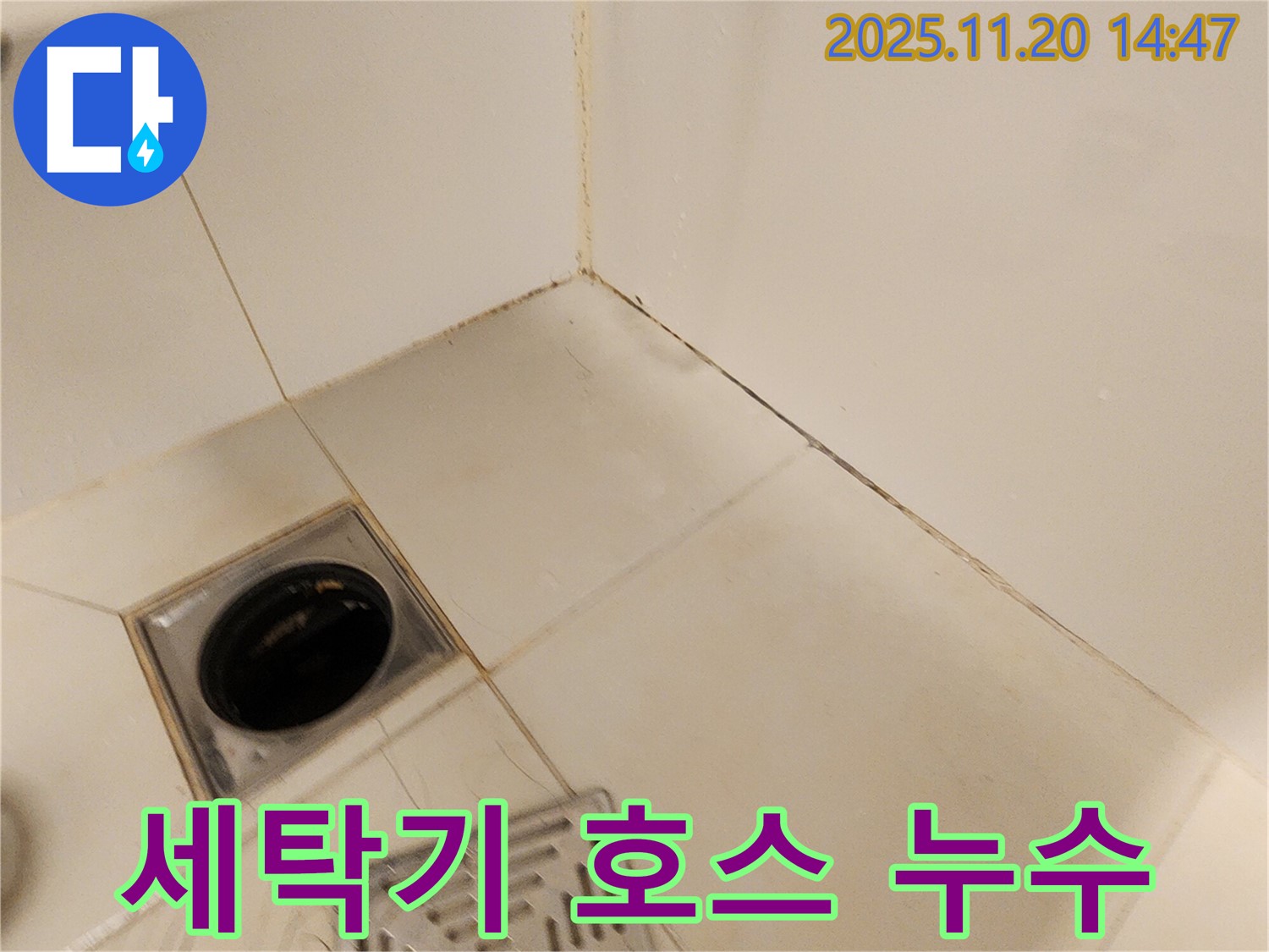 포천 마산리 세탁기 배수 호스 - 세탁기 배수 호스 연결 부위에서 누수가 발생하고 주변에 곰팡이가 핀 모습입니다.