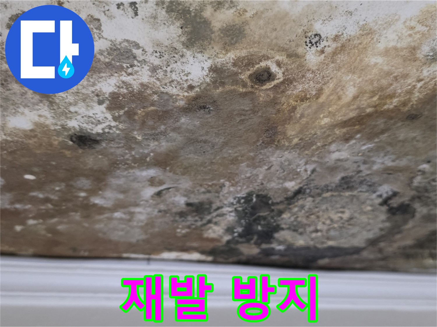 곰팡이 재발 방지 시공 - 곰팡이 제거 후 재발 방지를 위한 꼼꼼한 시공의 클로즈업 모습입니다.