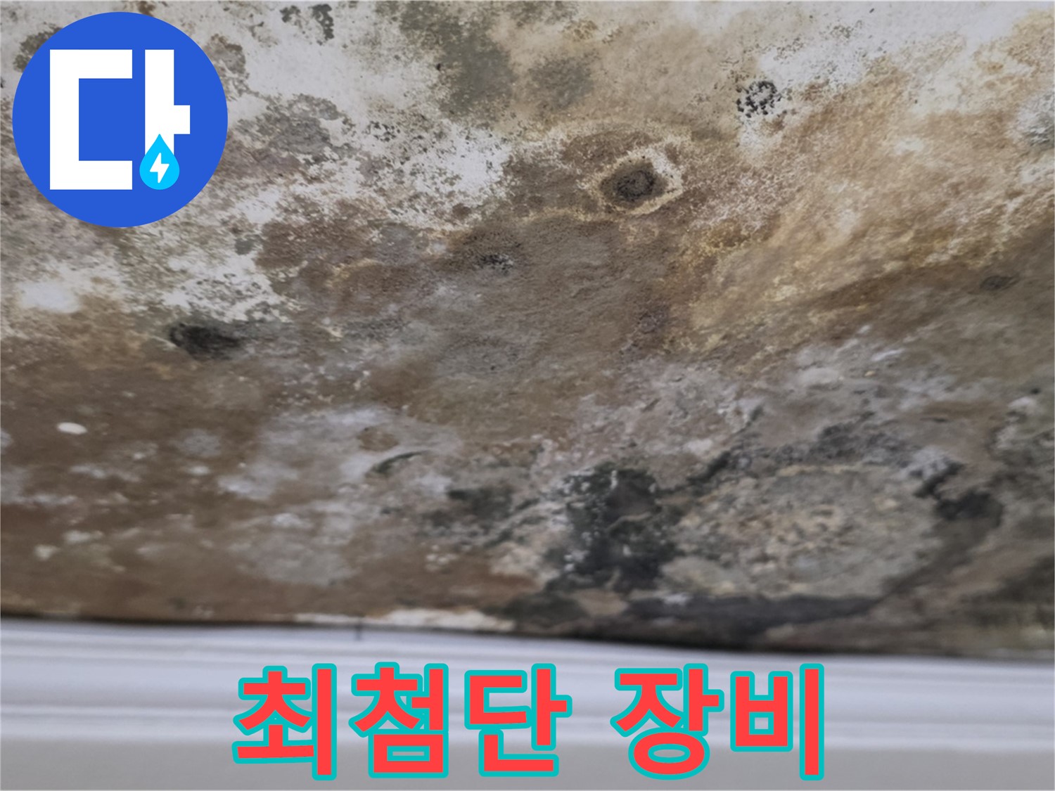 곰팡이 천장 - 최첨단 누수 탐지 장비!