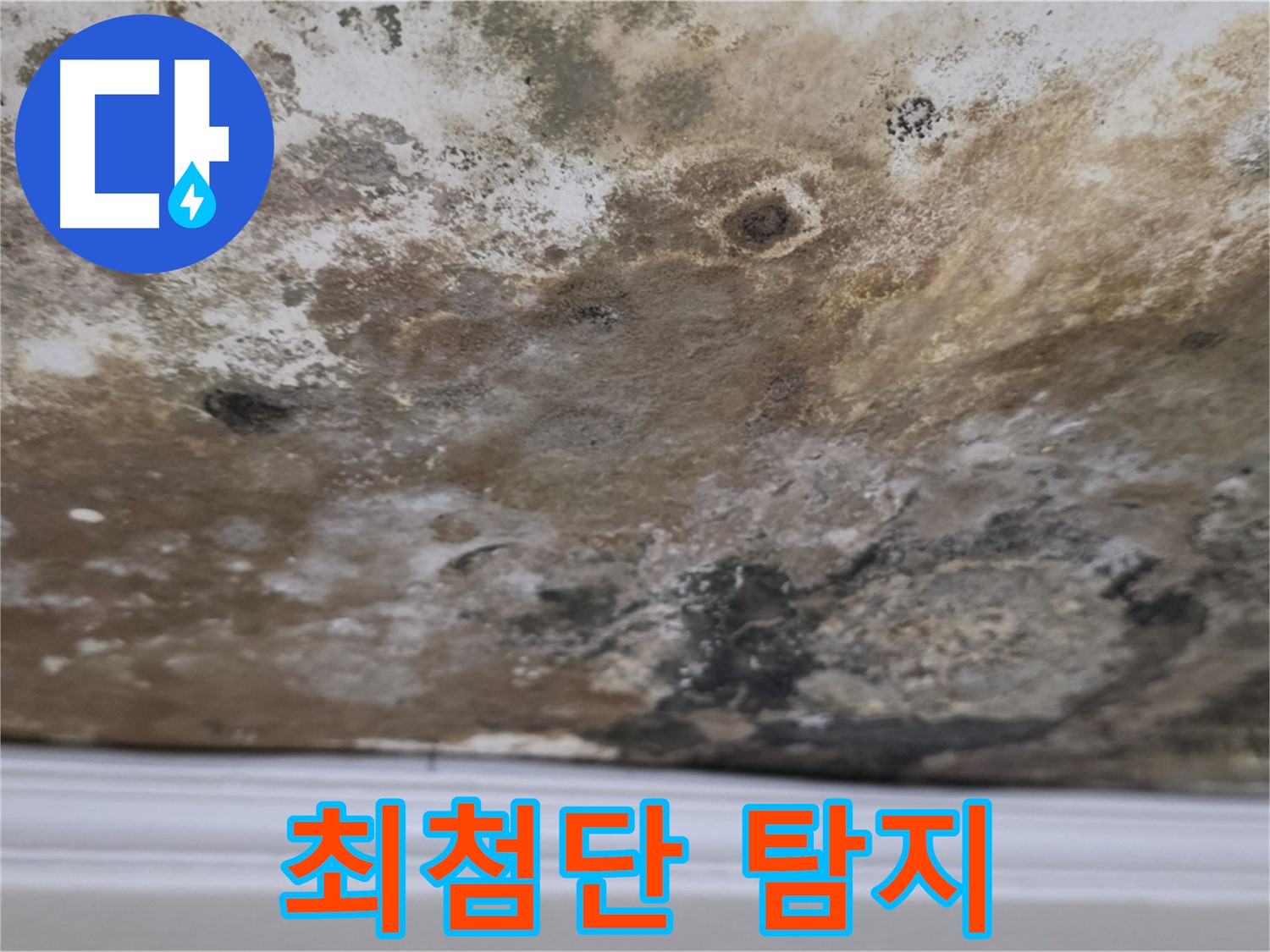 곰팡이 천장 - 최첨단 누수 탐지 장비로 정밀하게 진단합니다!