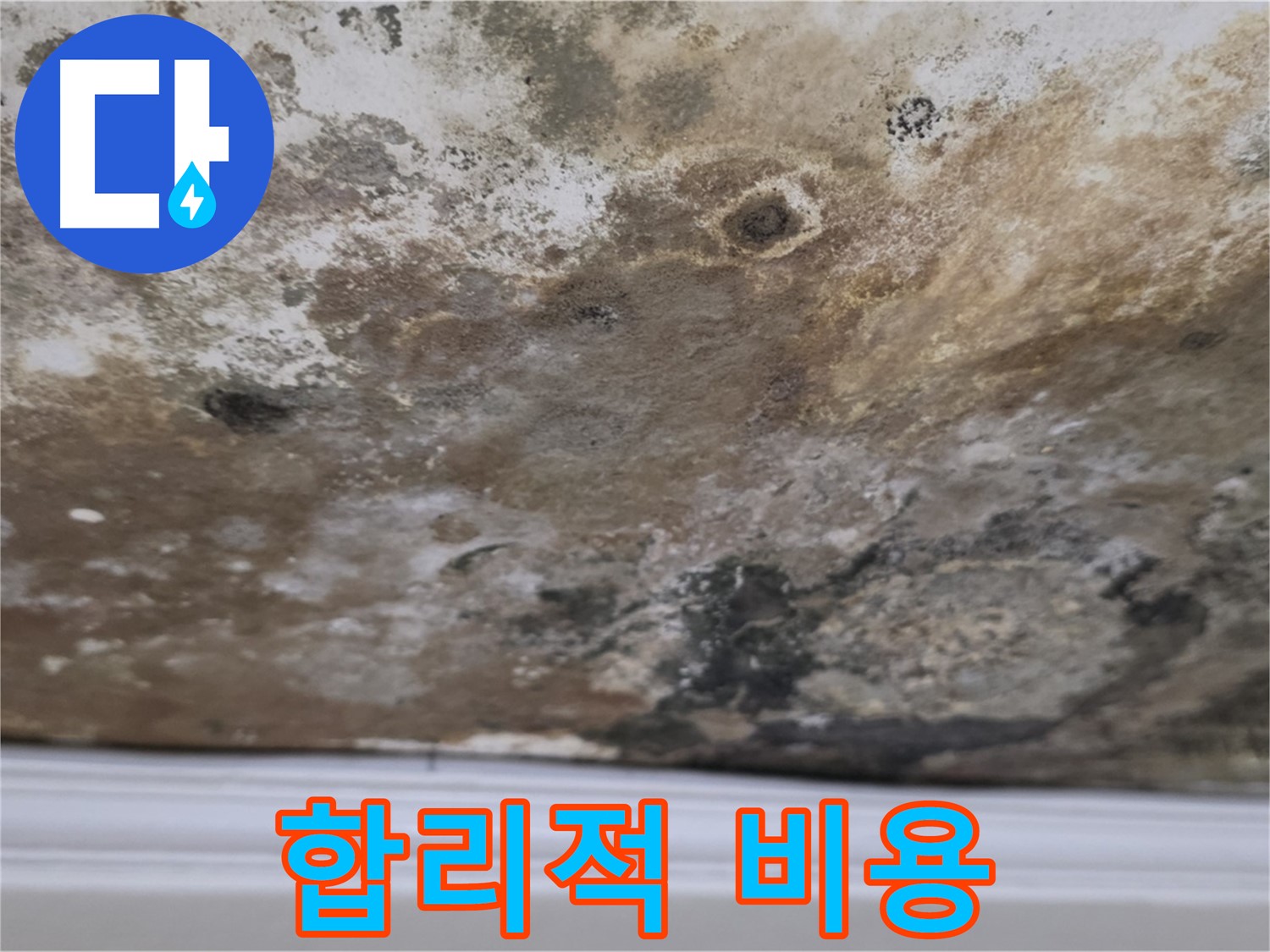 곰팡이 천장 - 합리적인 비용으로 누수 해결 가능