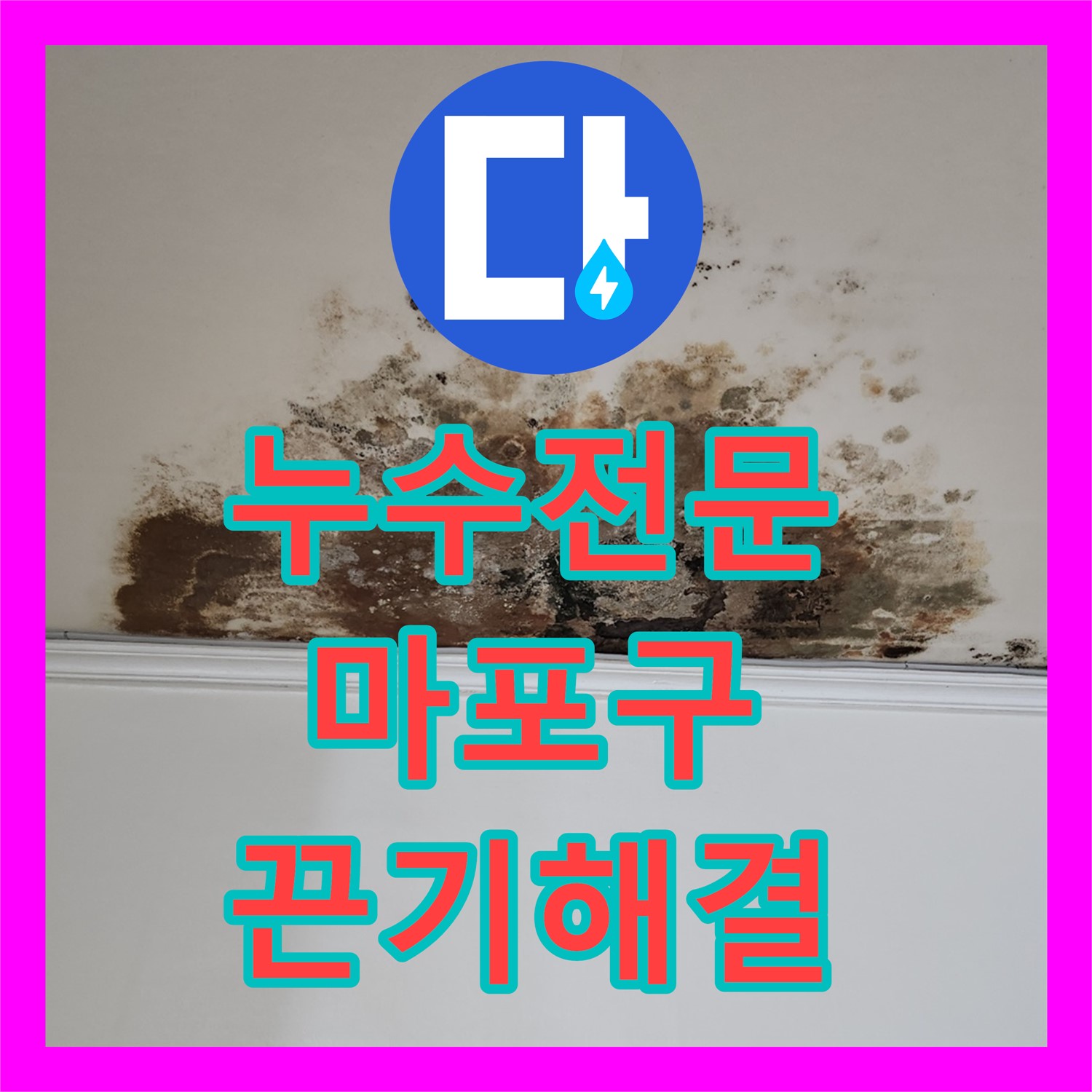 누수전문 기술력으로 여러 업체가 포기한 악성 미세 누수 문제를 끈기 있게 해결하는 과정, 마포구
