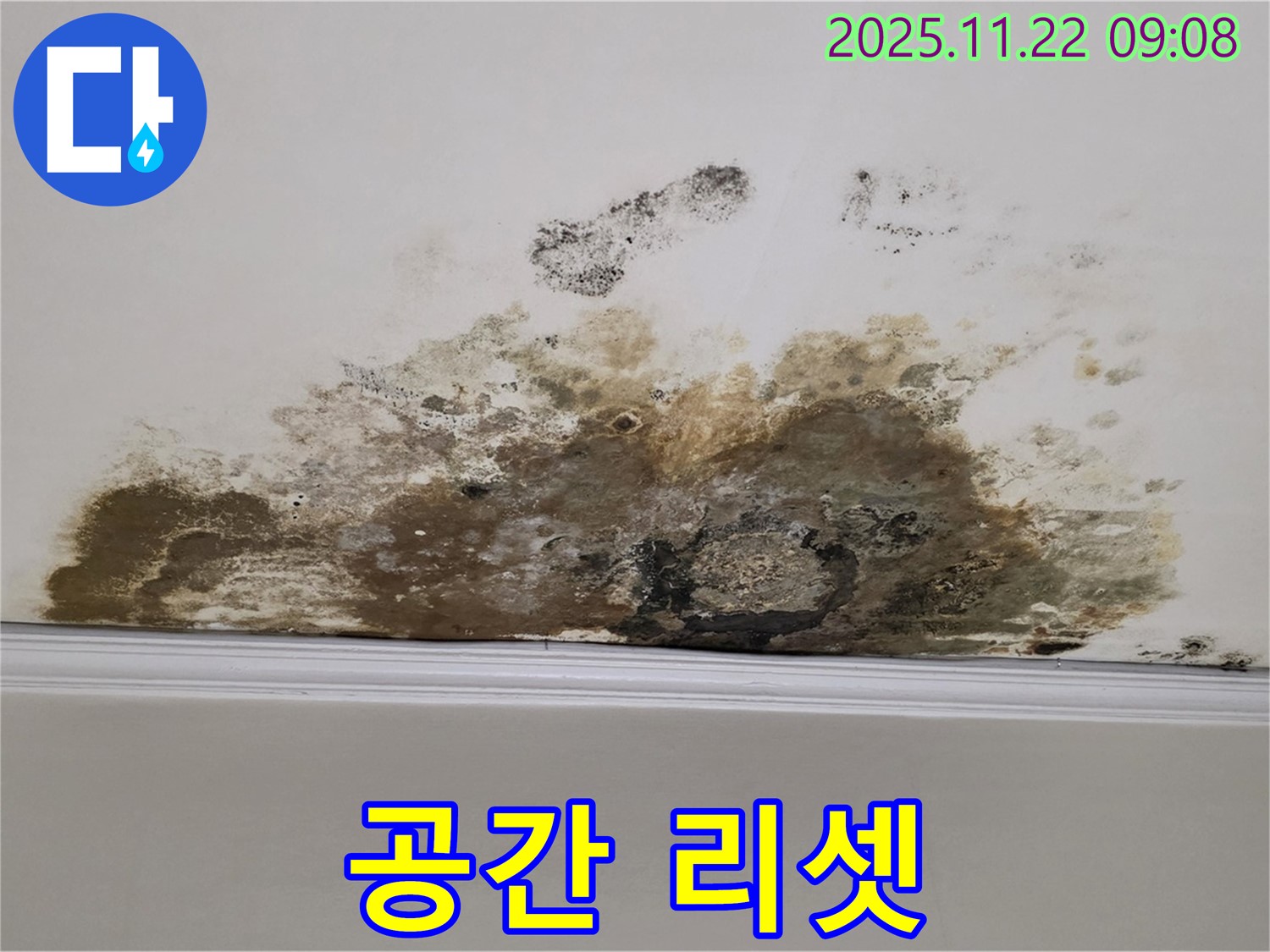 마포 용강동 누수 - 곰팡이 아포칼립스, 쾌적한 공간으로 리셋!