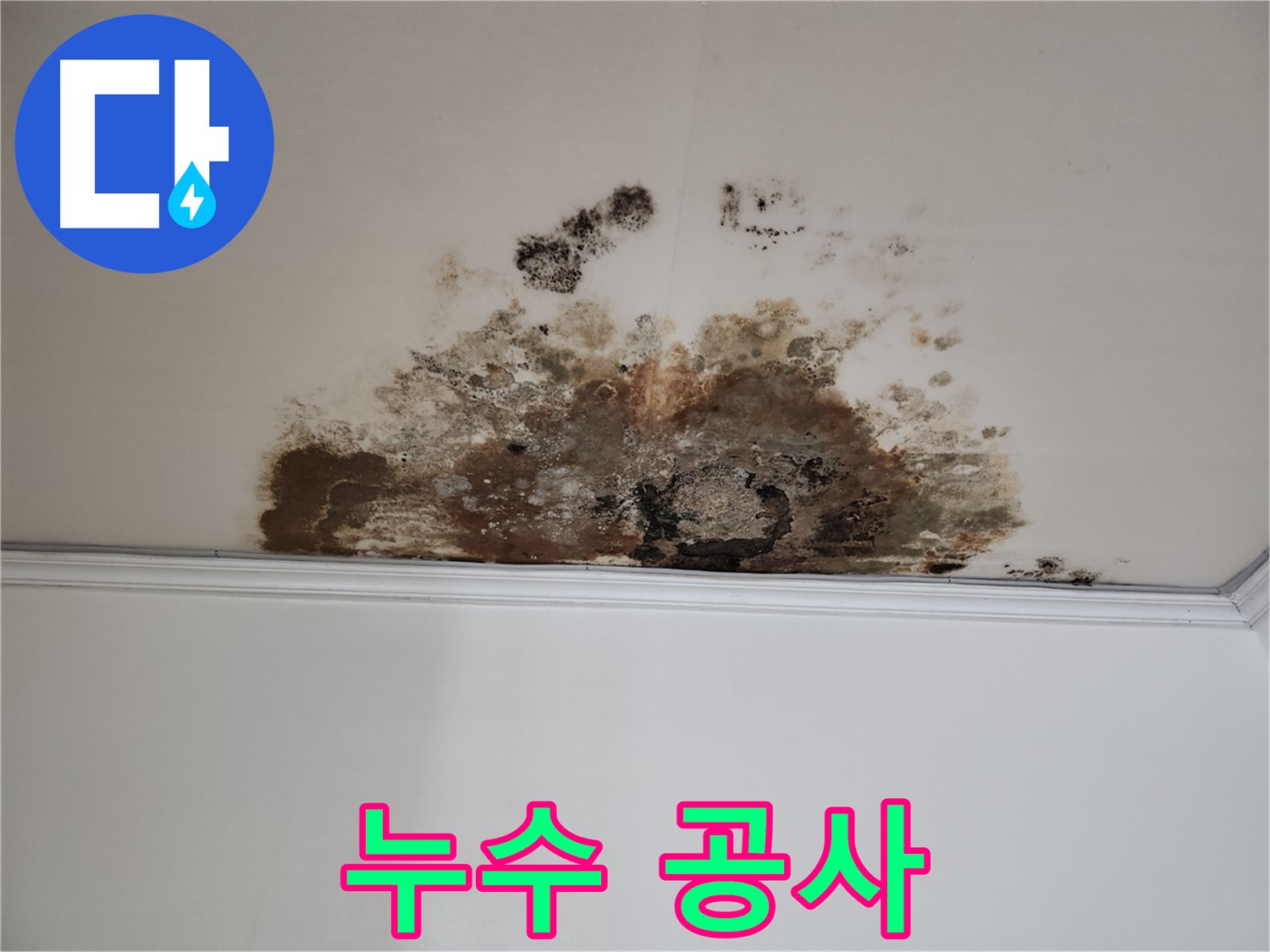마포구 누수 - 곰팡이 누수 공사