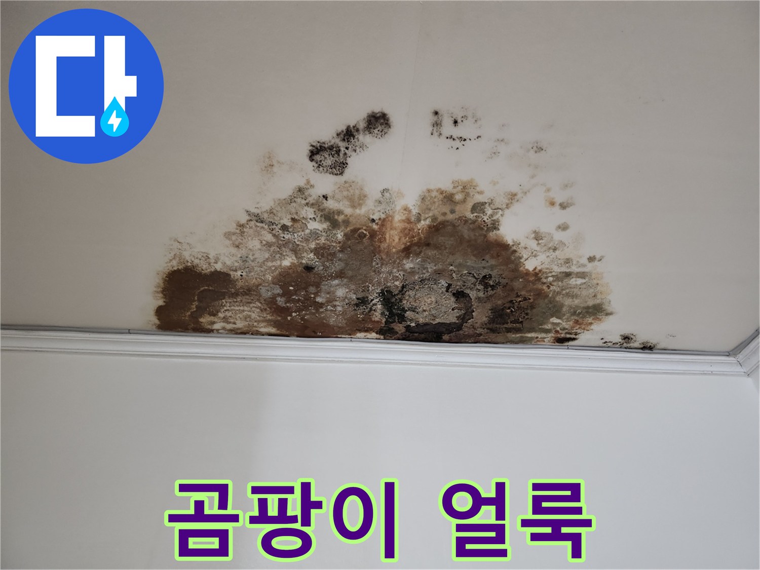마포구 누수 - 곰팡이 얼룩진 천장