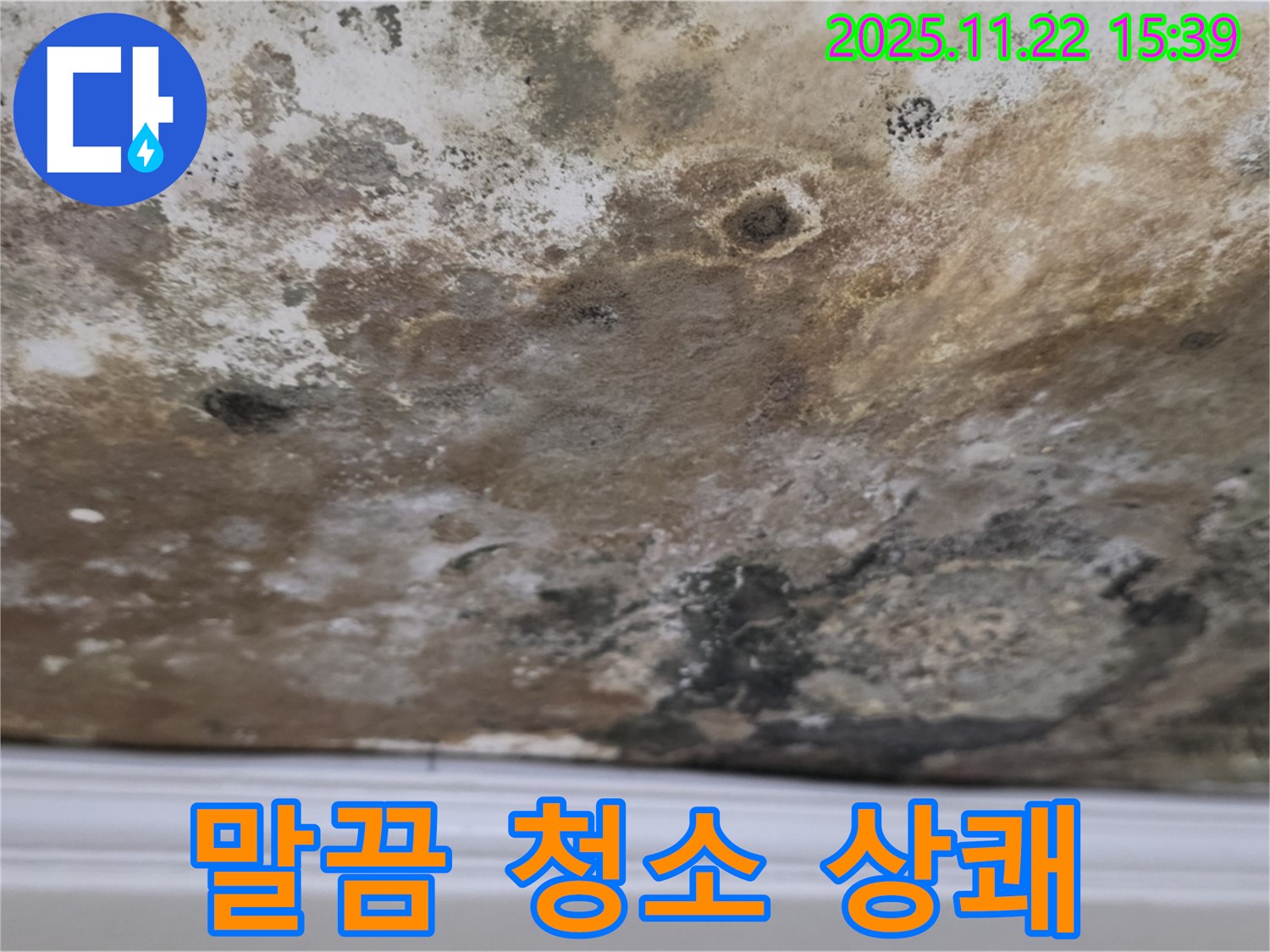 마포구 누수 - 곰팡이 천장, 말끔하게 청소, 기분까지 상쾌하게!