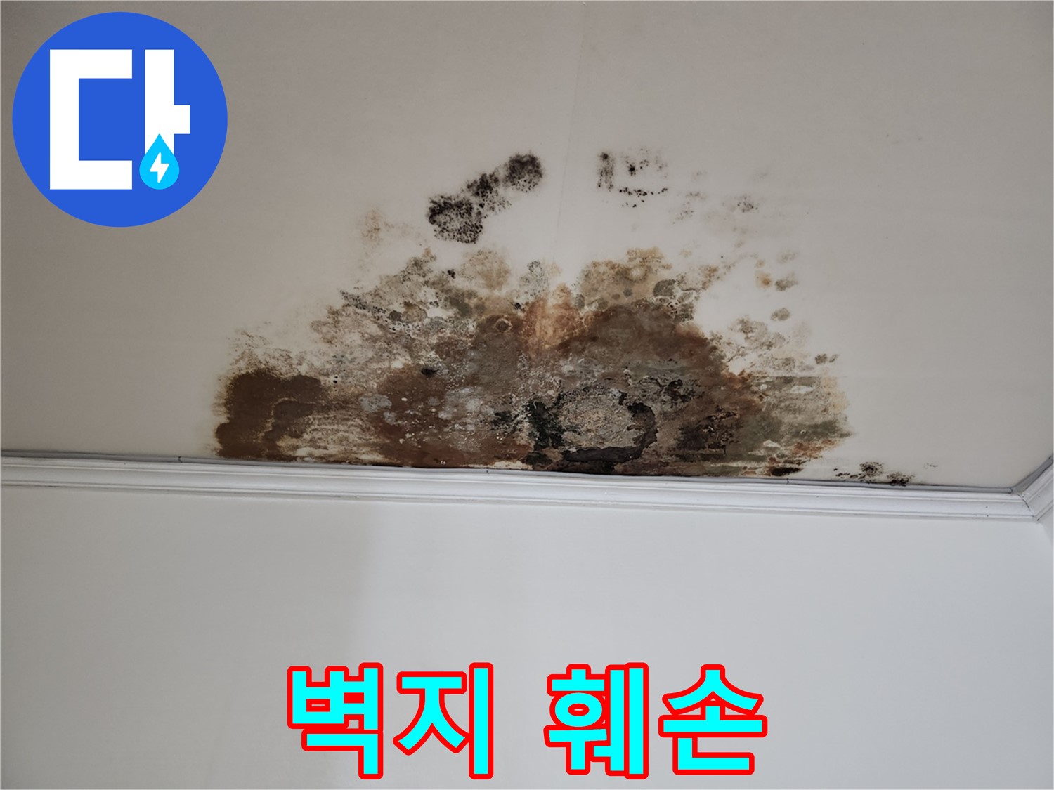 마포구 누수 - 벽지 훼손 복구