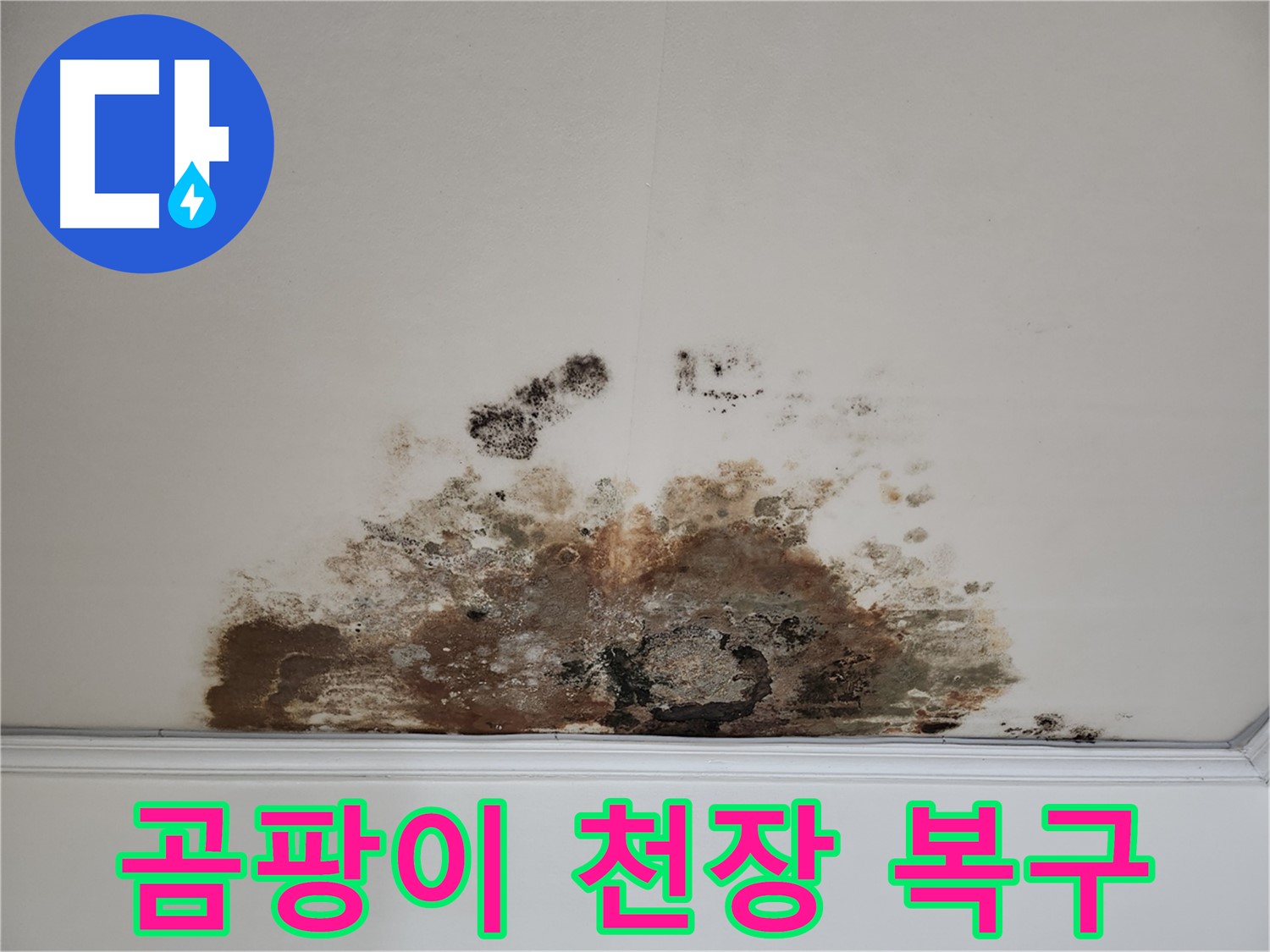 마포구 누수 해결 - 곰팡이 천장 완벽 복구 솔루션 제공