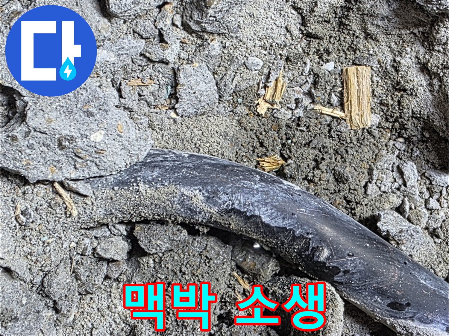 마포구 누수 현장 - 콘크리트 속 낡은 배관의 멈춰버린 맥박을 되살리기 위해 누수 맥박 소생 프로젝트를 시작합니다.