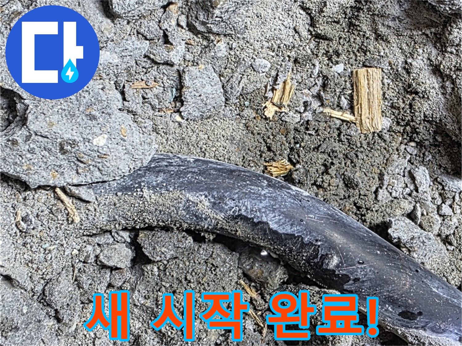 마포구 용강동 현대홈타운 - 젖은 흙과 악취 - 오염 및 누수 진행