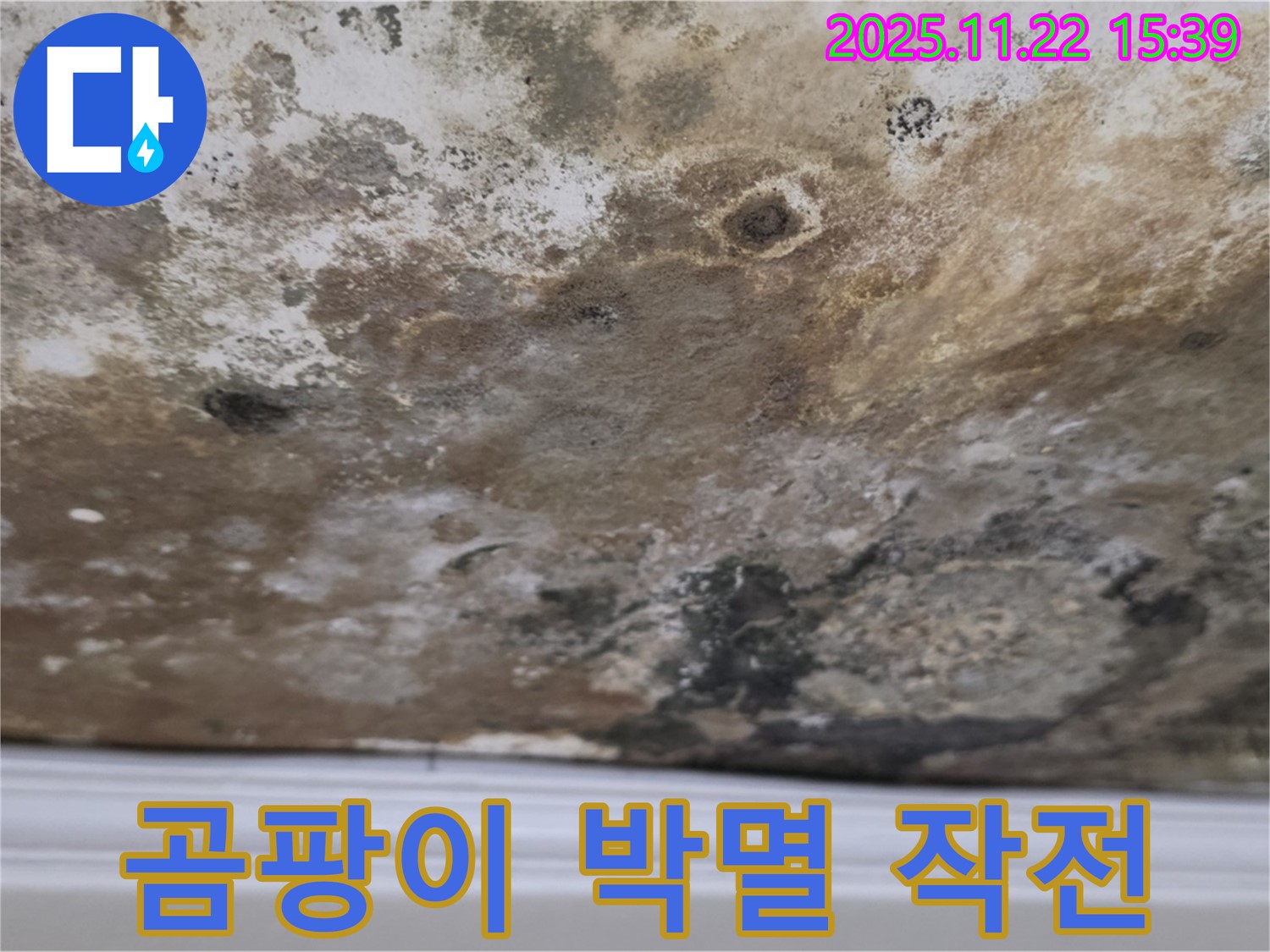 마포구 용강동 누수 - 곰팡이 박멸 작전, 상쾌한 우리 집 되찾기!