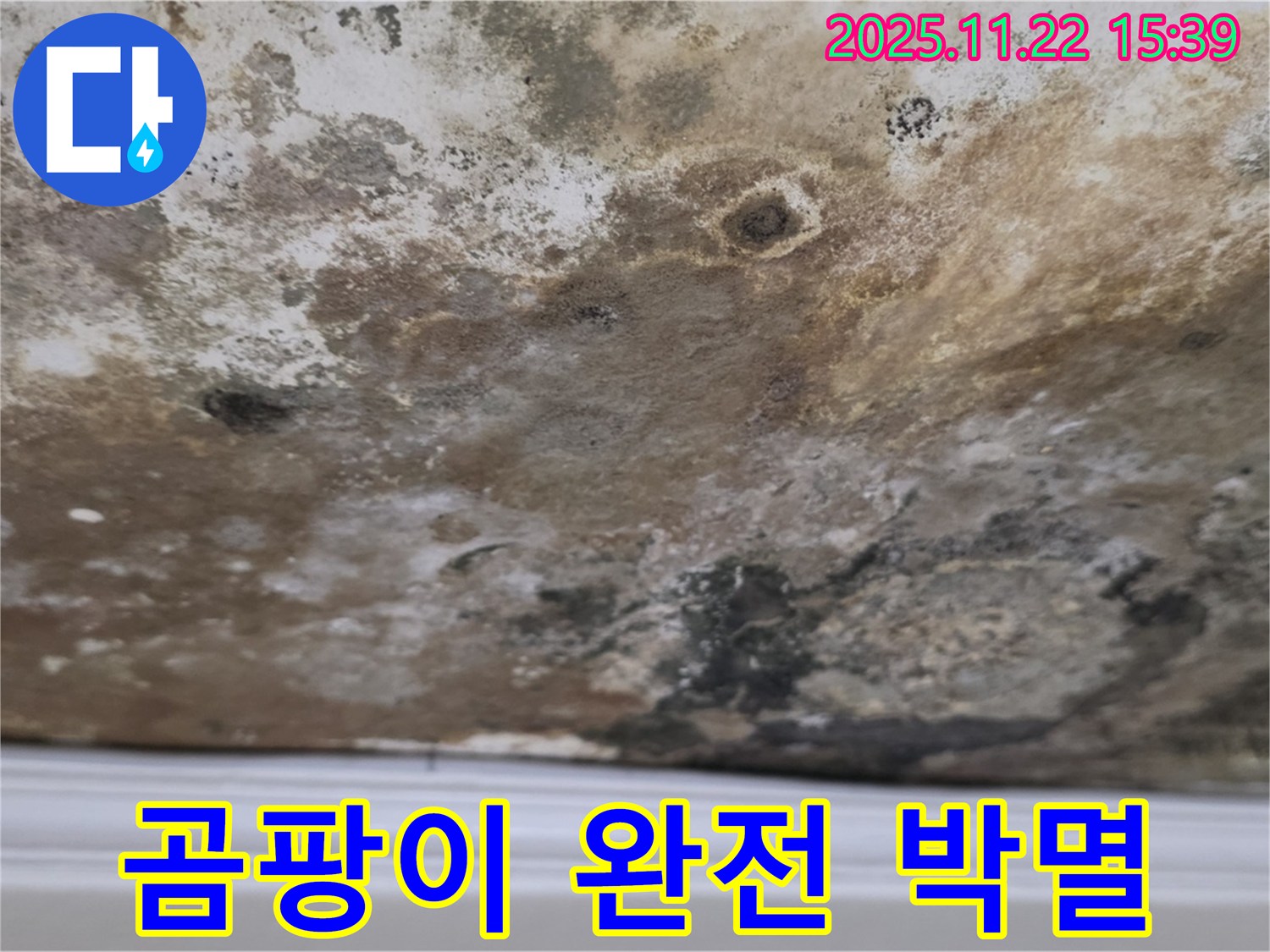 마포구 용강동 누수 - 곰팡이 완전 박멸, 상쾌한 천장으로 컴백!