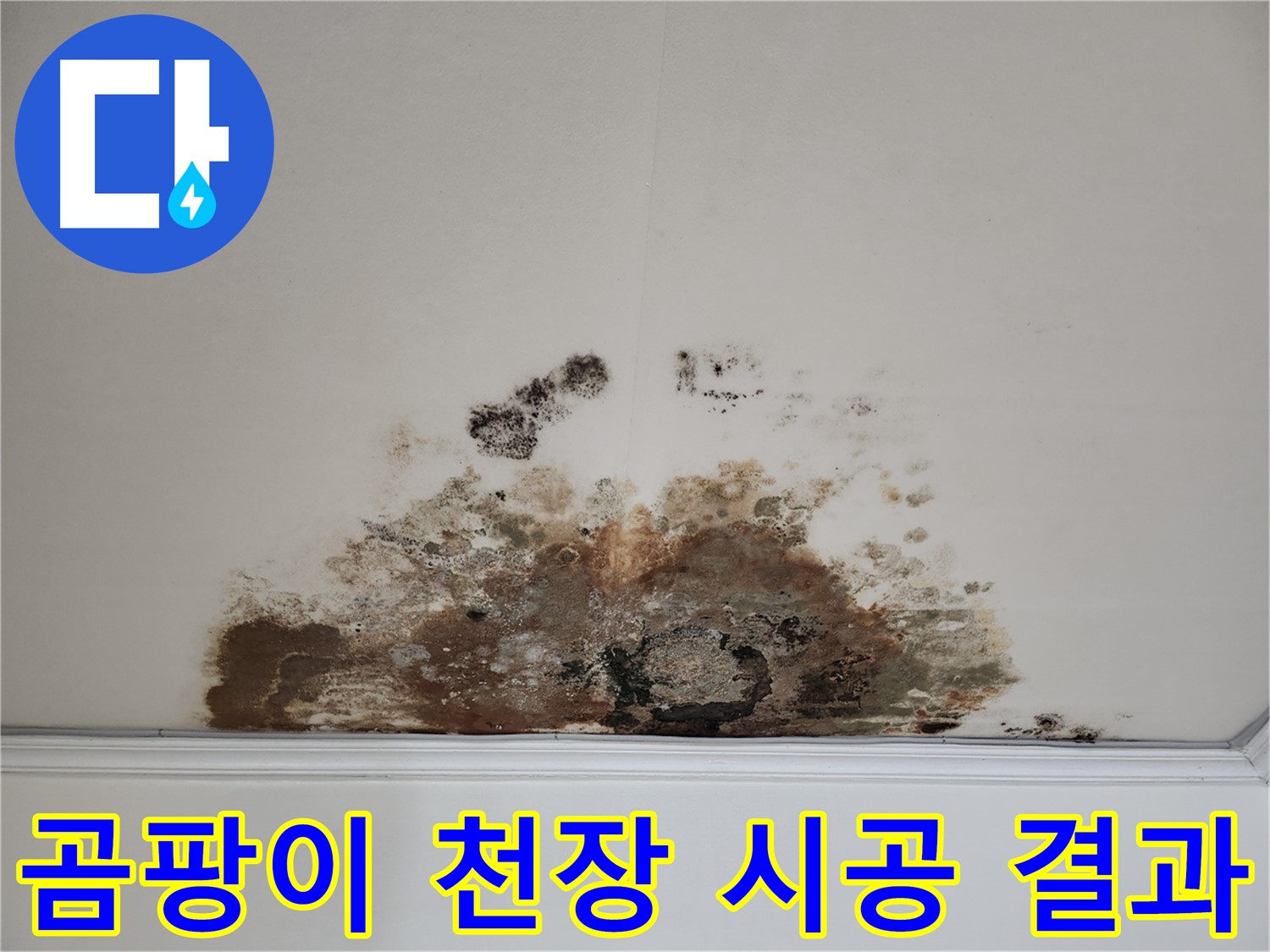 마포구 용강동 누수 곰팡이 천장 - 꼼꼼 시공 확실한 결과 보장
