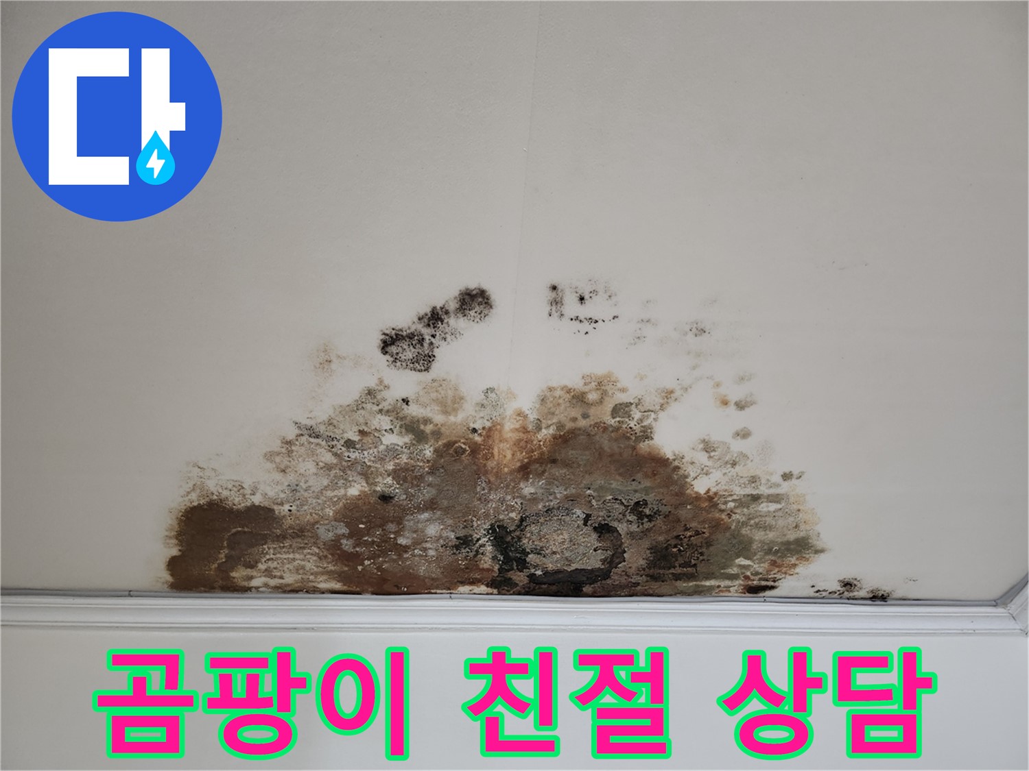 마포구 용강동 누수 - 곰팡이 천장 친절 상담 및 완벽 시공 보장