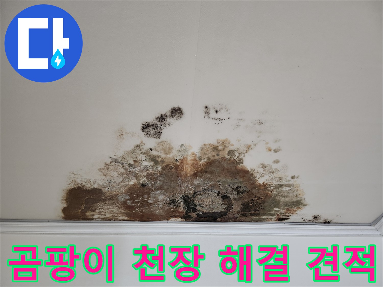 마포구 용강동 누수 곰팡이 천장 - 합리적 견적 완벽 해결 약속
