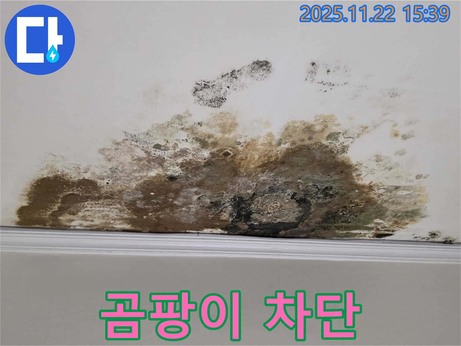 마포구 용강동 누수 - 천장 곰팡이 문제, 완벽한 누수 해결과 곰팡이 차단으로 안심!