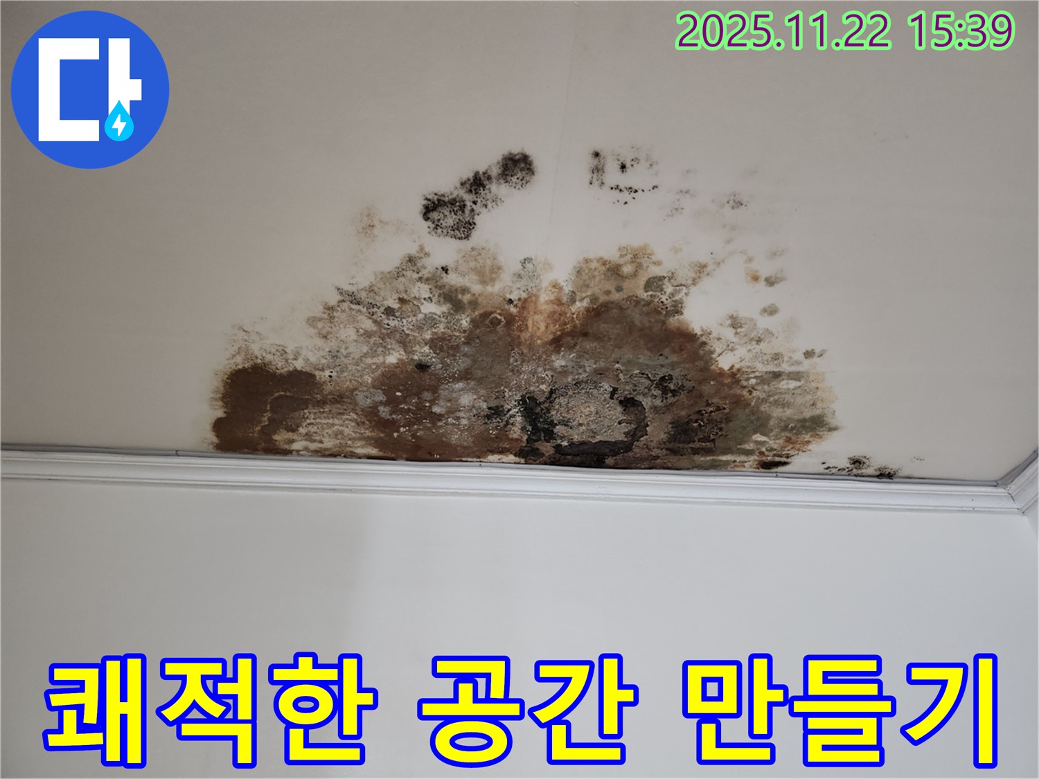마포구 용강동 새창로8길 누수 - 곰팡이 아웃, 현대홈타운 쾌적한 공간