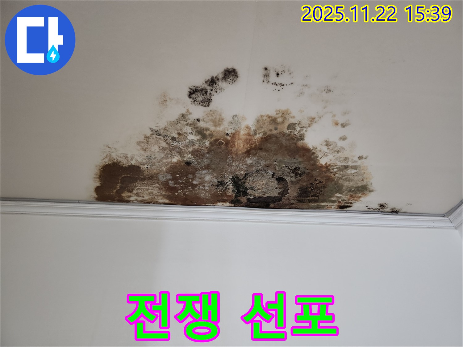 마포구 용강동 새창로8길 누수 - 곰팡이와의 전쟁 선포, 현대홈타운