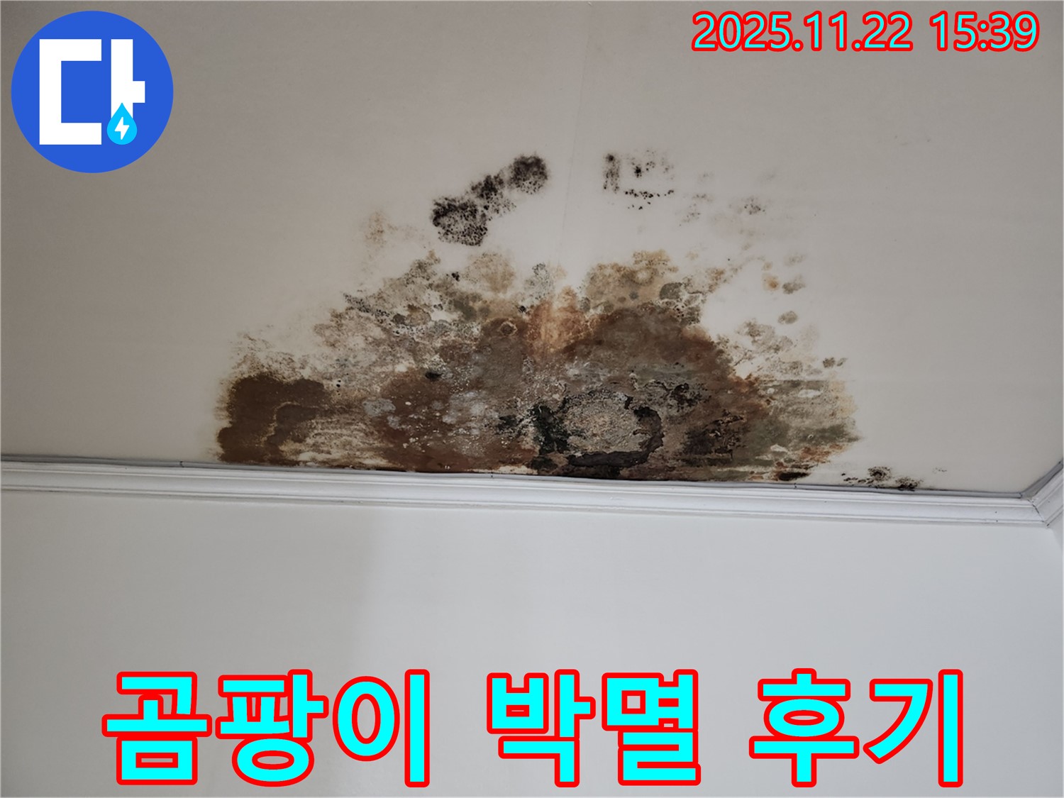 마포구 용강동 새창로8길 천장 누수 - 곰팡이 완전 박멸 리얼 후기