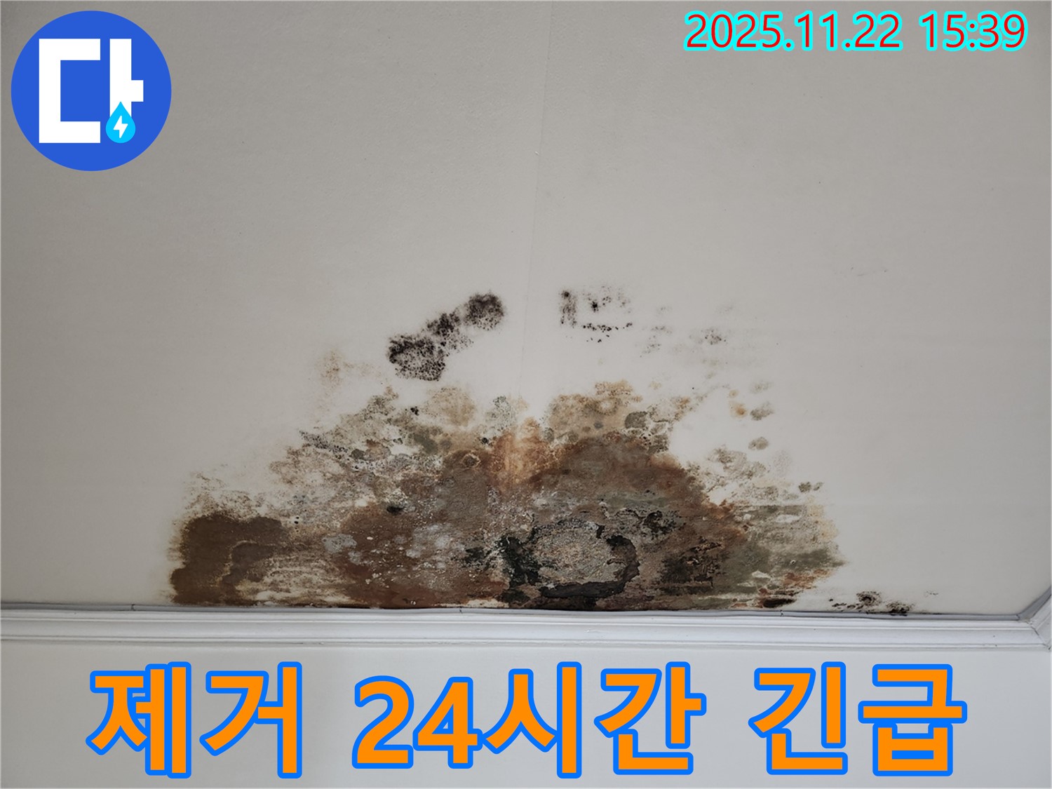 마포구 용강동 아파트 - 곰팡이 천장, 곰팡이 제거, 24시간 긴급 상담 가능