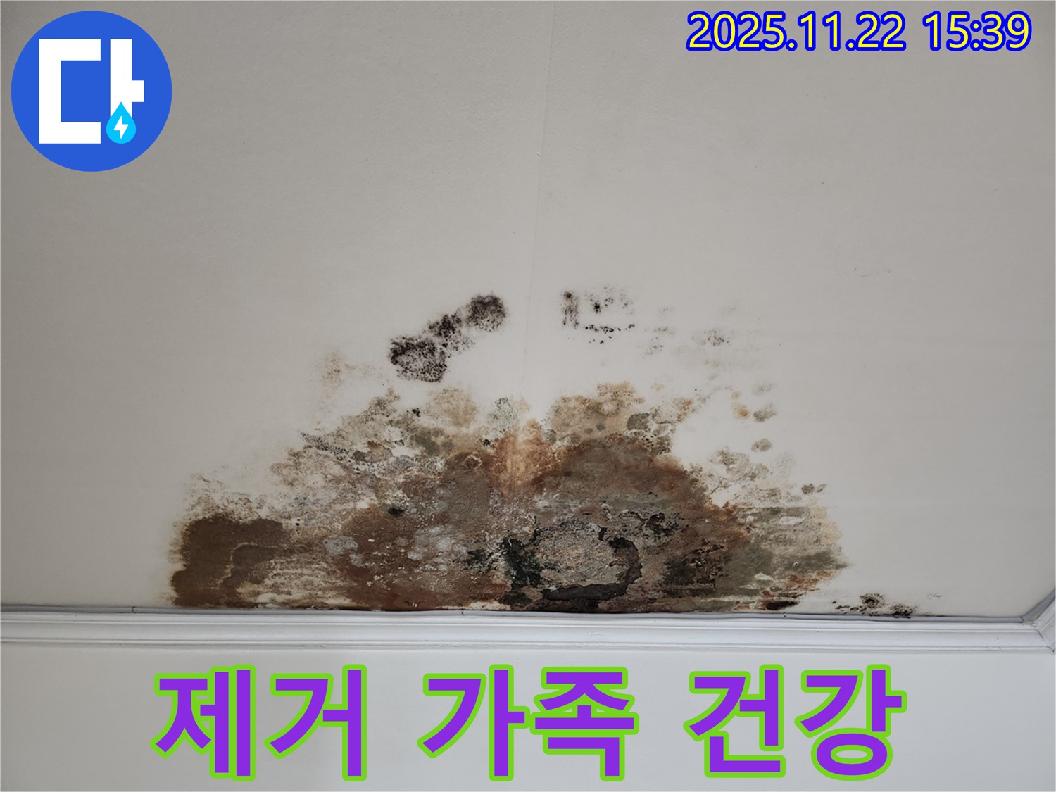 마포구 용강동 아파트 - 곰팡이 천장, 곰팡이 제거로 가족 모두의 건강 지킴이