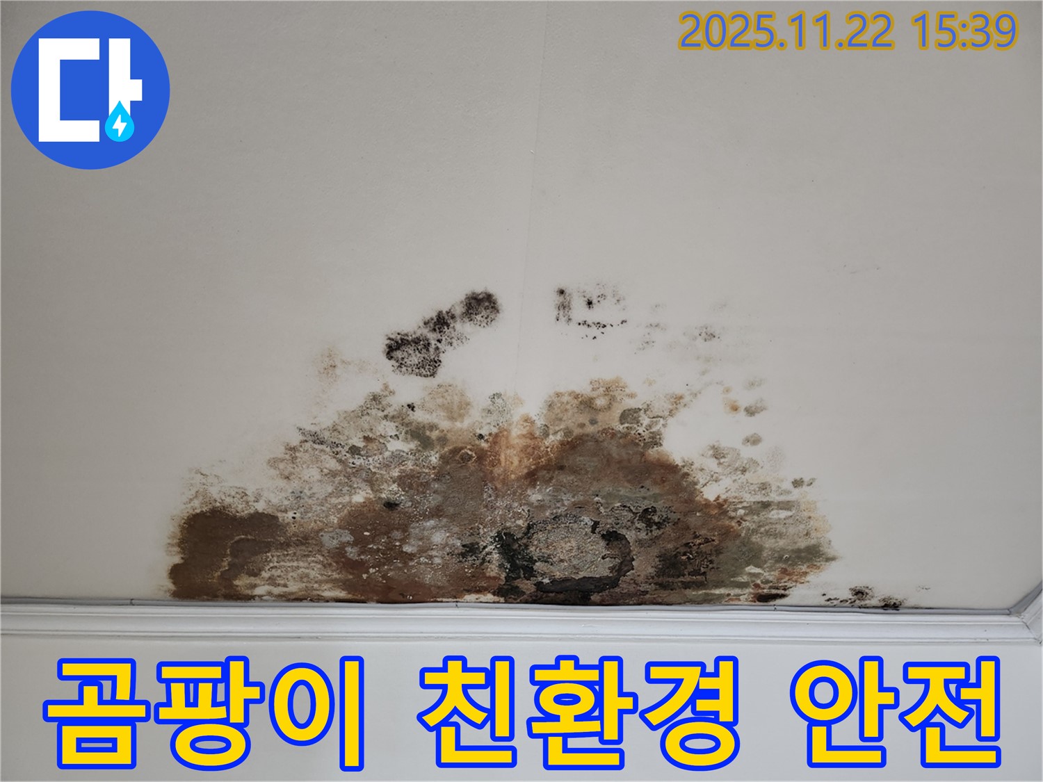 마포구 용강동 아파트 - 곰팡이 천장, 친환경 약품 사용으로 안전하게 시공