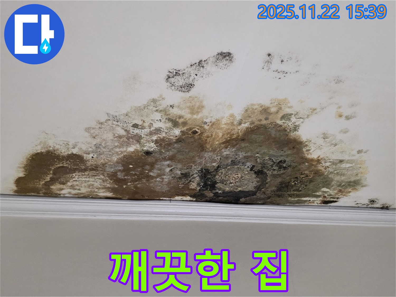 마포구 용강동 아파트 누수 - 곰팡이 Bye Bye Bye, 누수 해결로 되찾은 깨끗한 우리집!