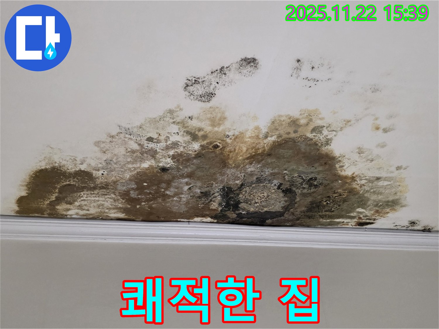 마포구 용강동 아파트 누수 - 곰팡이 아웃! 쾌적한 우리집 되찾기 프로젝트