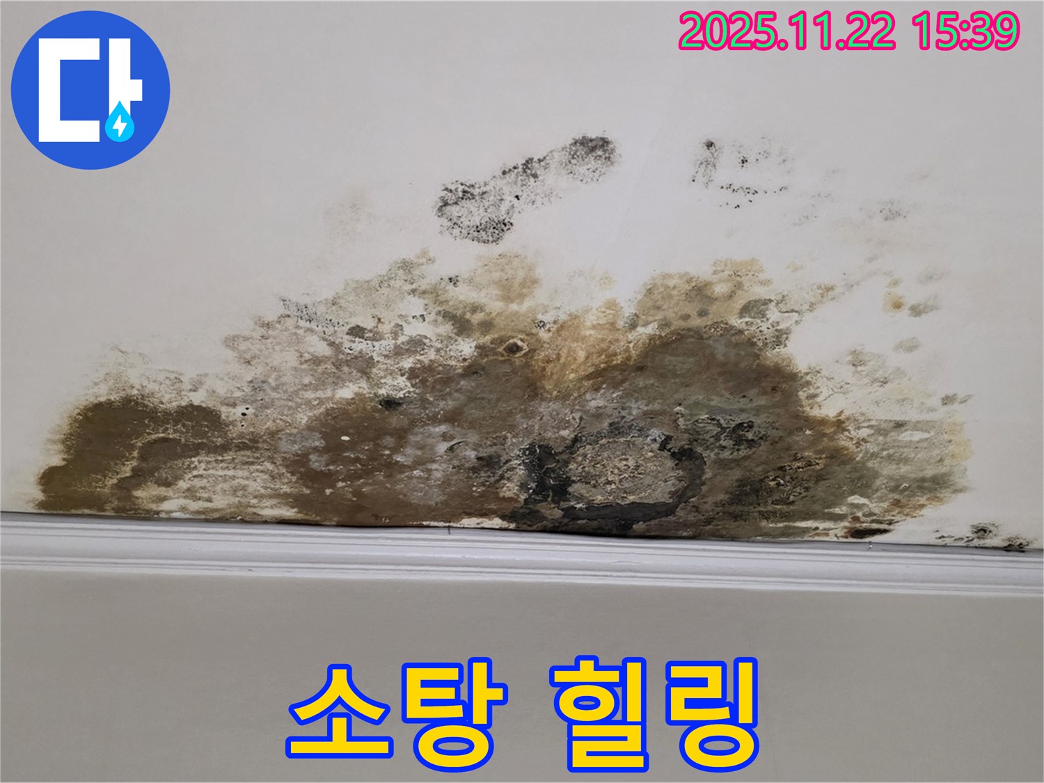 마포구 용강동 아파트 누수 - 곰팡이 완전 소탕, 쾌적한 우리 집에서 힐링 시작!