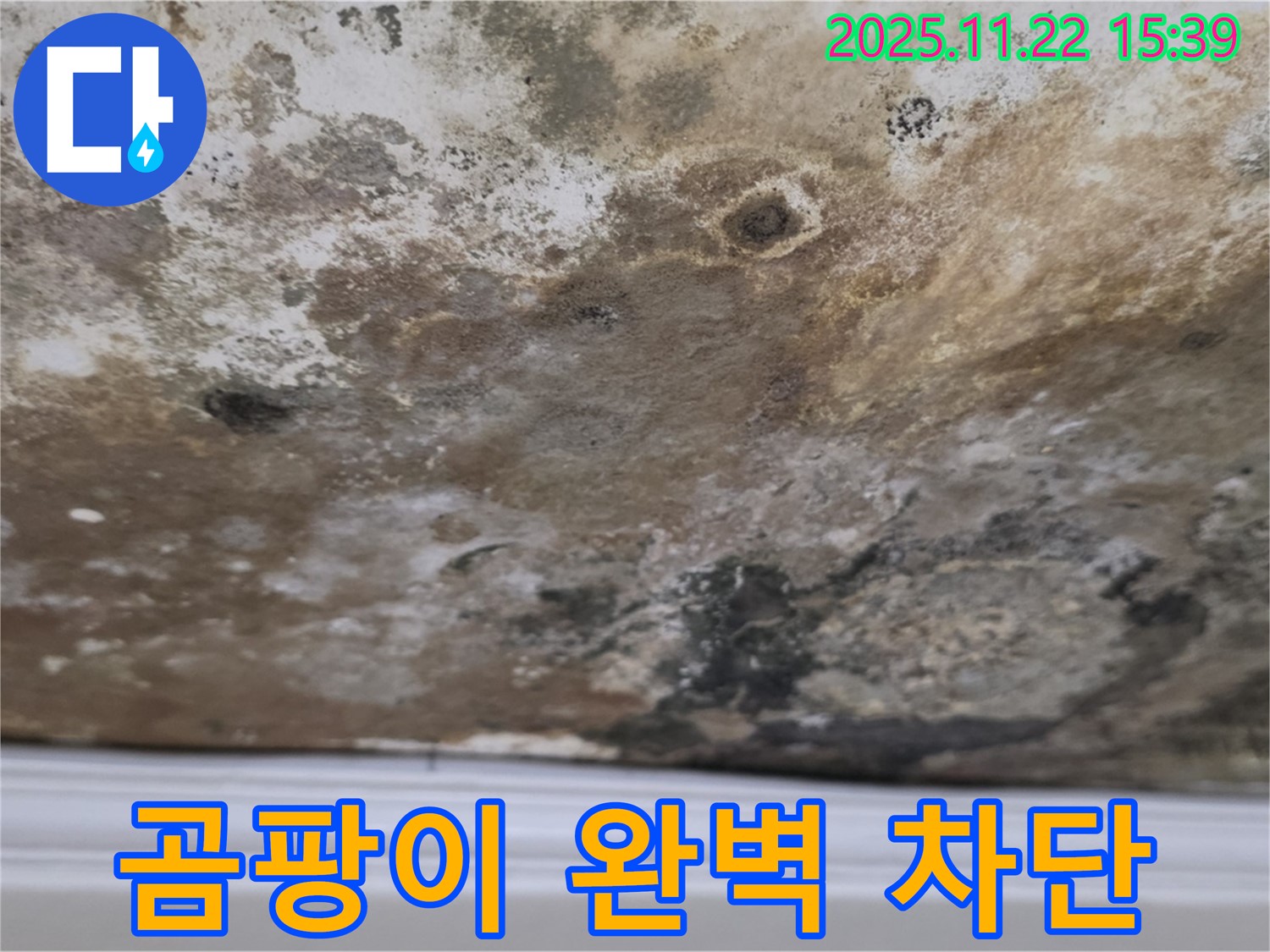 마포구 용강동 현대홈타운 - 곰팡이 천장, 완벽 차단 시공으로 안심!