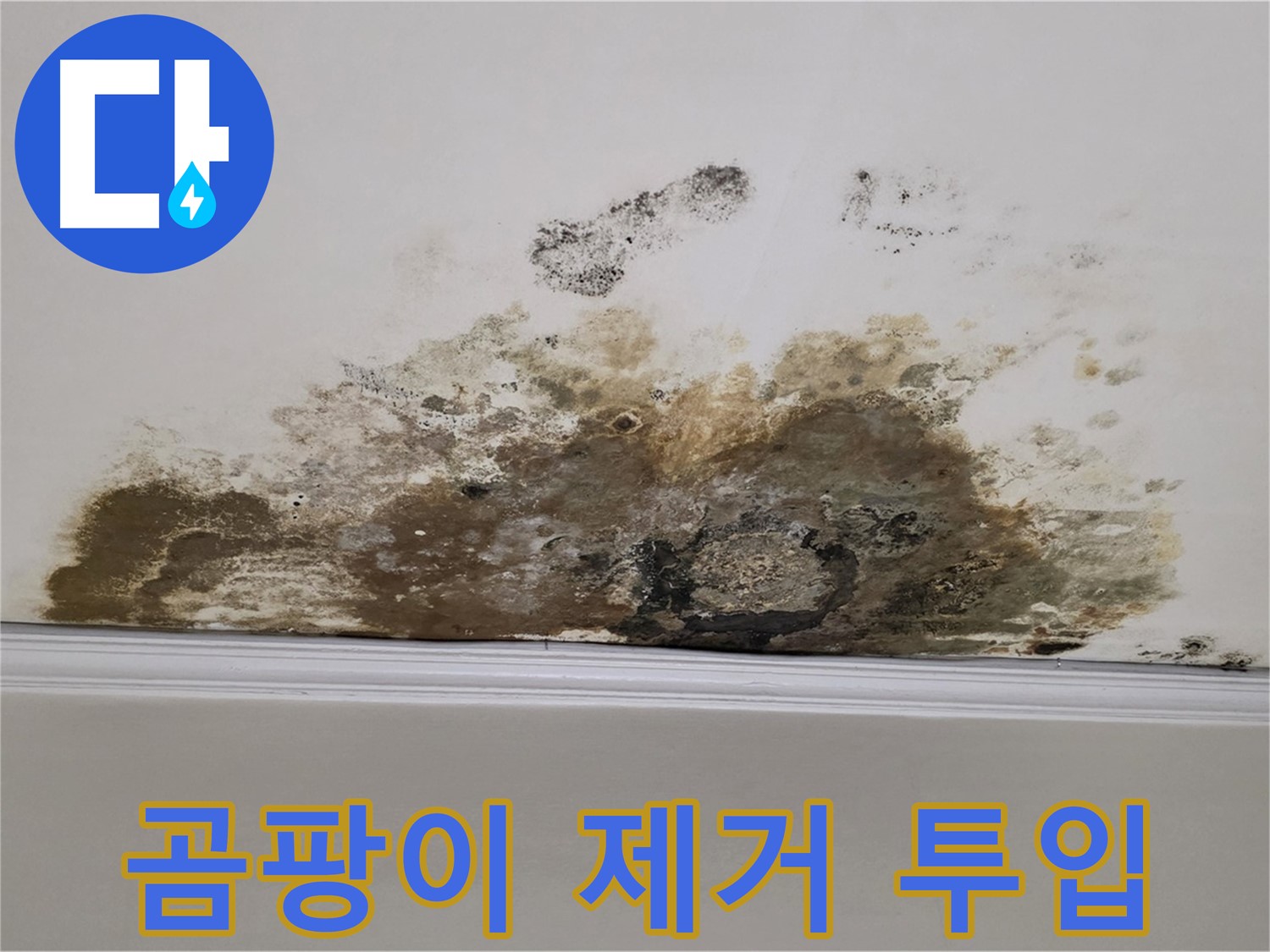 마포구 용강동 현대홈타운 아파트 - 천장 곰팡이 제거를 위한 긴급 투입