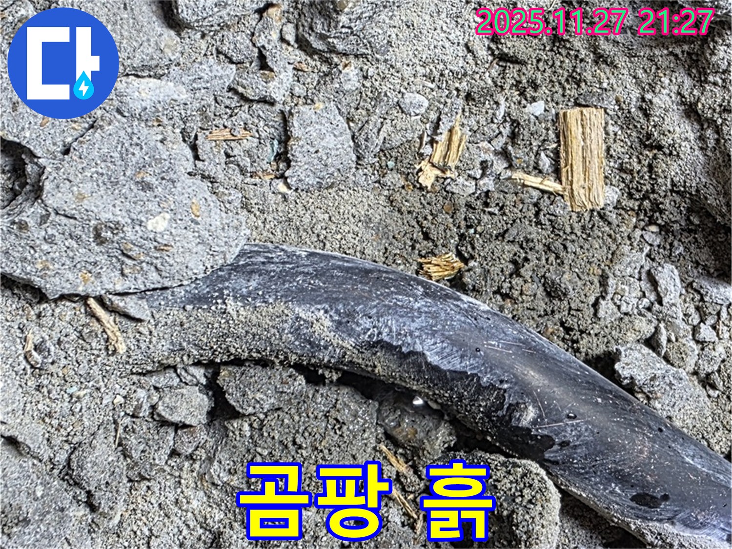 마포구 용강동 현대홈타운 - 젖은 흙과 곰팡이 - 누수 진행 중