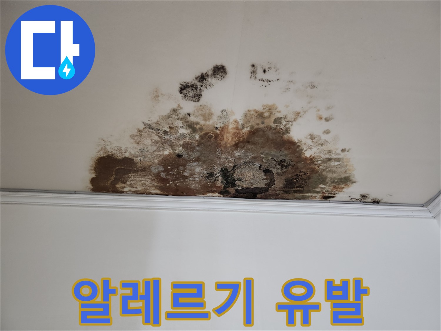 마포구 용강동 현대홈타운 천장 누수 - 알레르기 유발