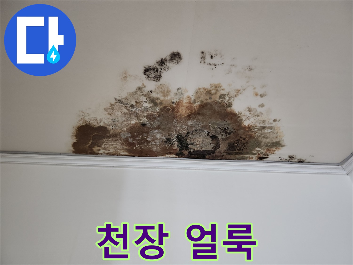 마포구 용강동 현대홈타운 천장 누수 - 천장 얼룩