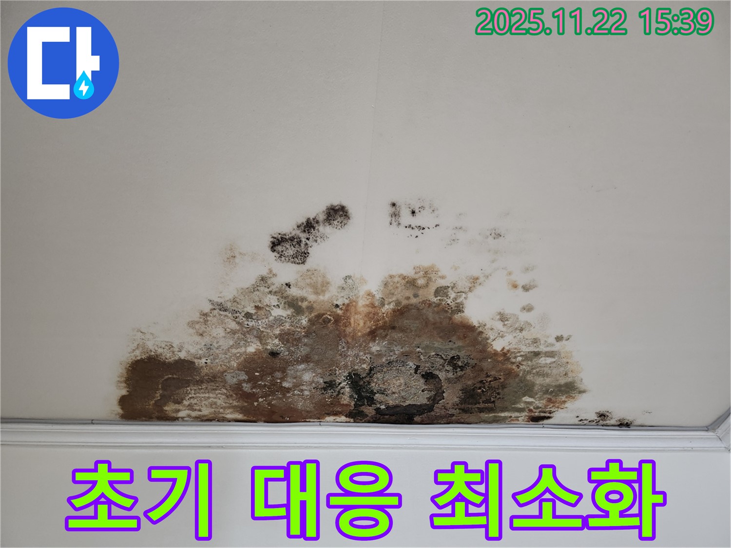 새창로 아파트 - 곰팡이 천장, 누수 초기 대응으로 피해 최소화