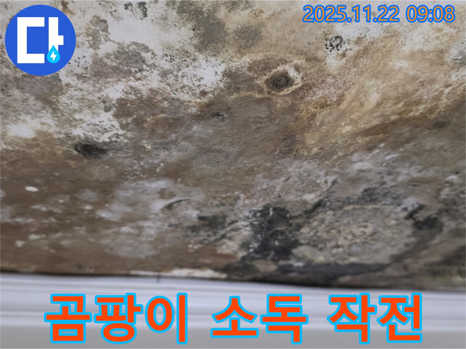 새창로8길 누수 - 곰팡이 습격, 천장 긴급 소독 작전!