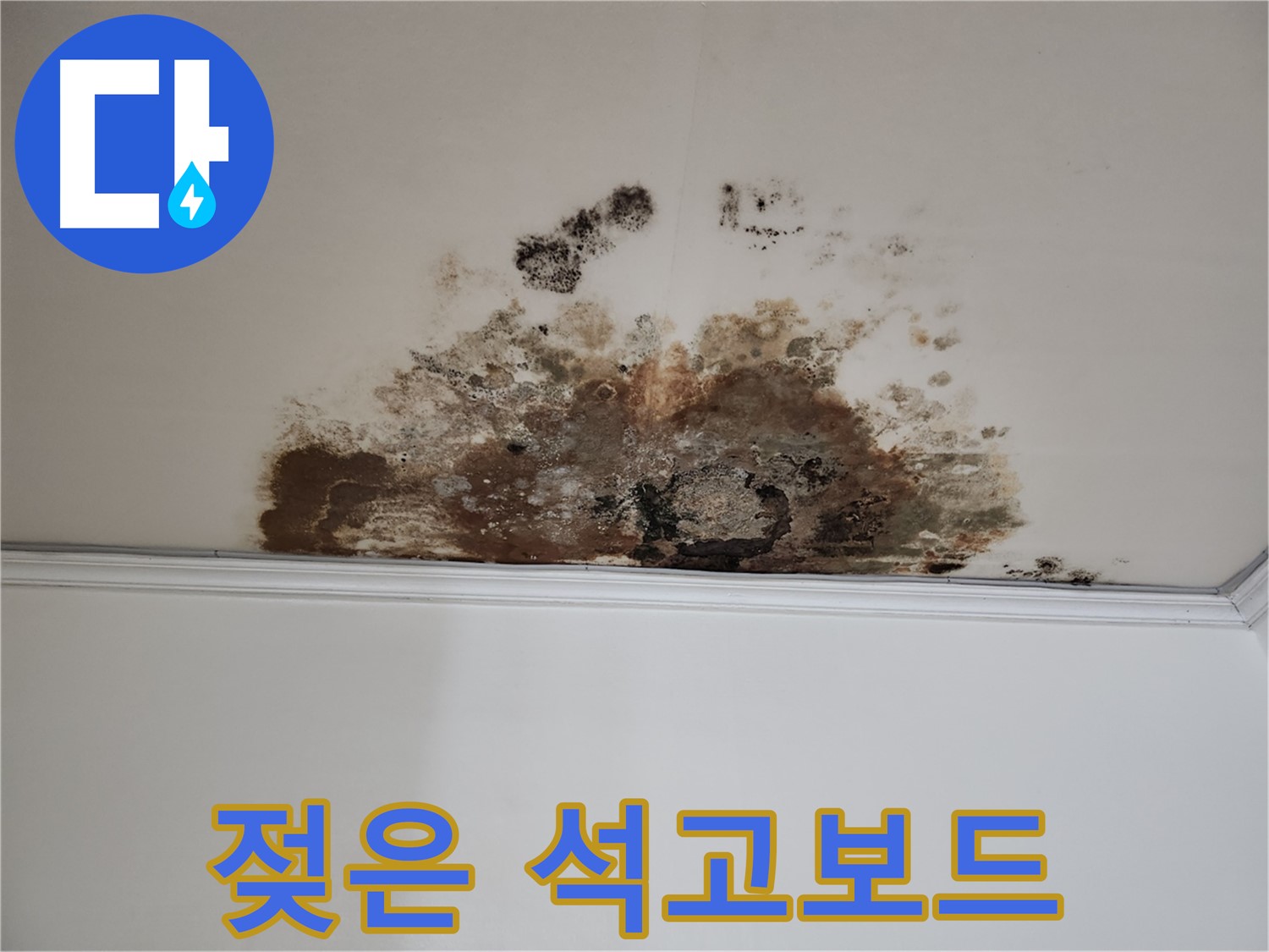 용강동 누수 - 곰팡이, 젖은 석고보드