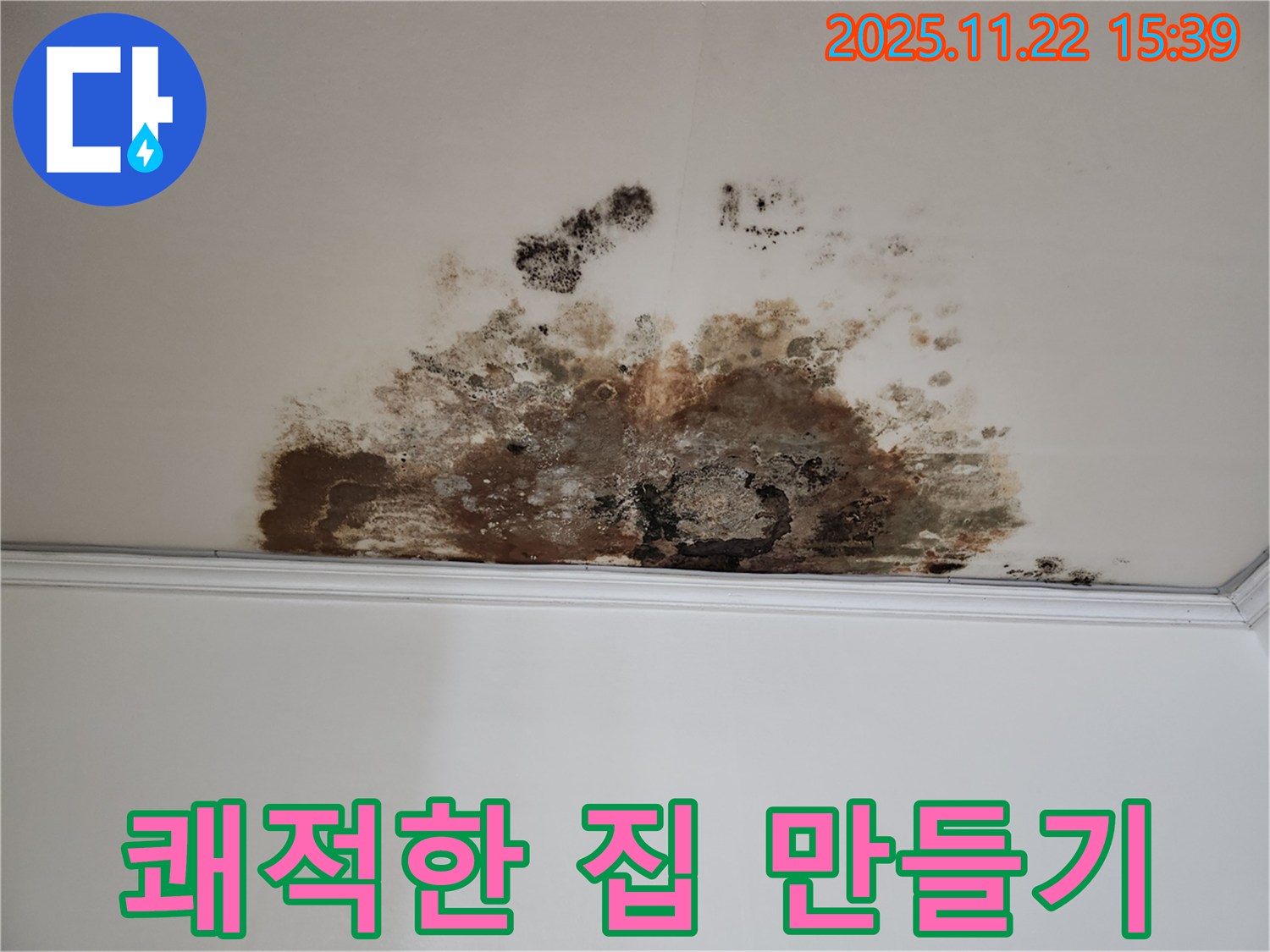 용강동 새창로8길 누수 - 곰팡이 박멸, 현대홈타운 쾌적한 우리 집