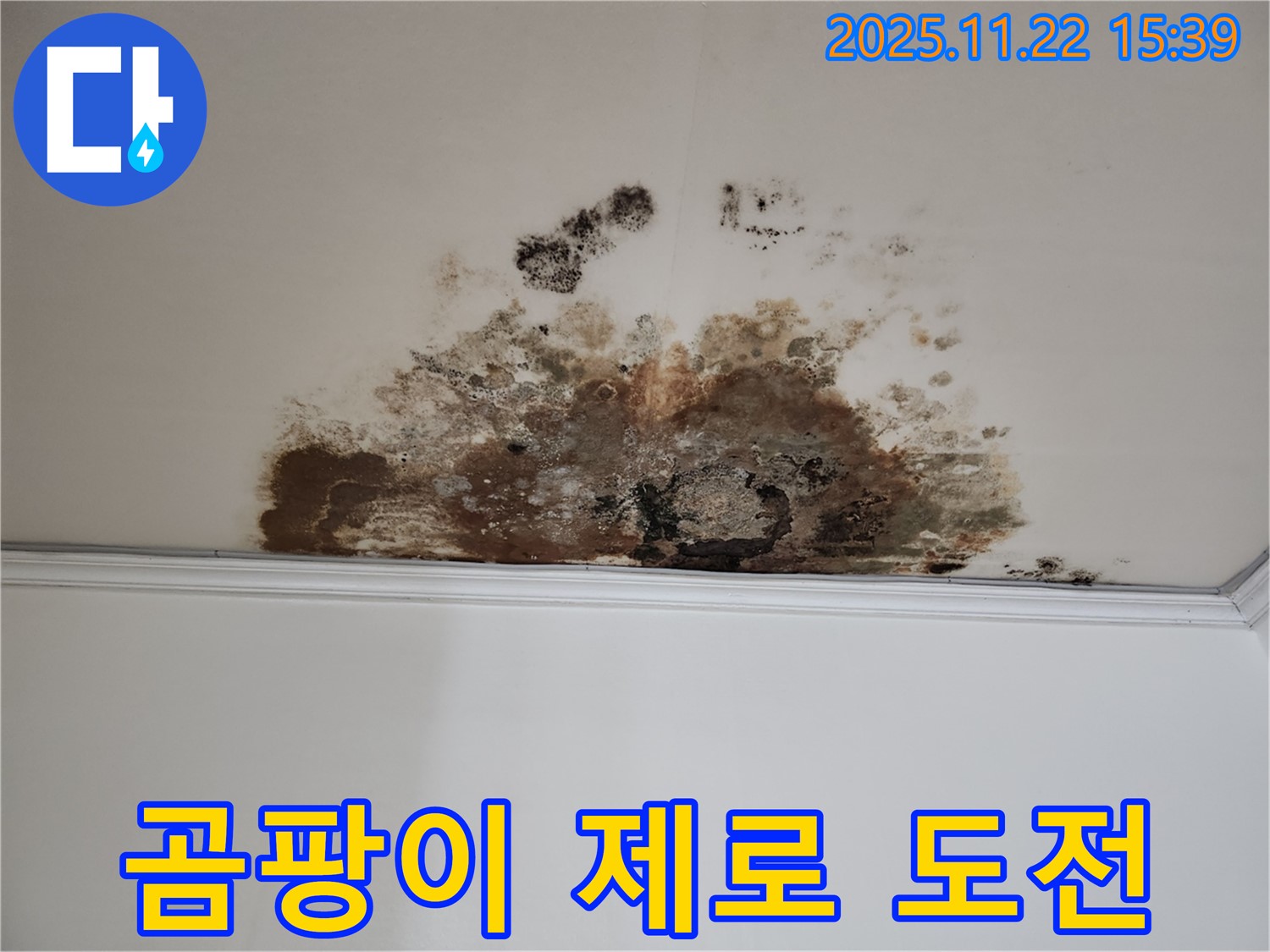 용강동 새창로8길 누수 - 곰팡이 제로 도전, 현대홈타운 깨끗한 집