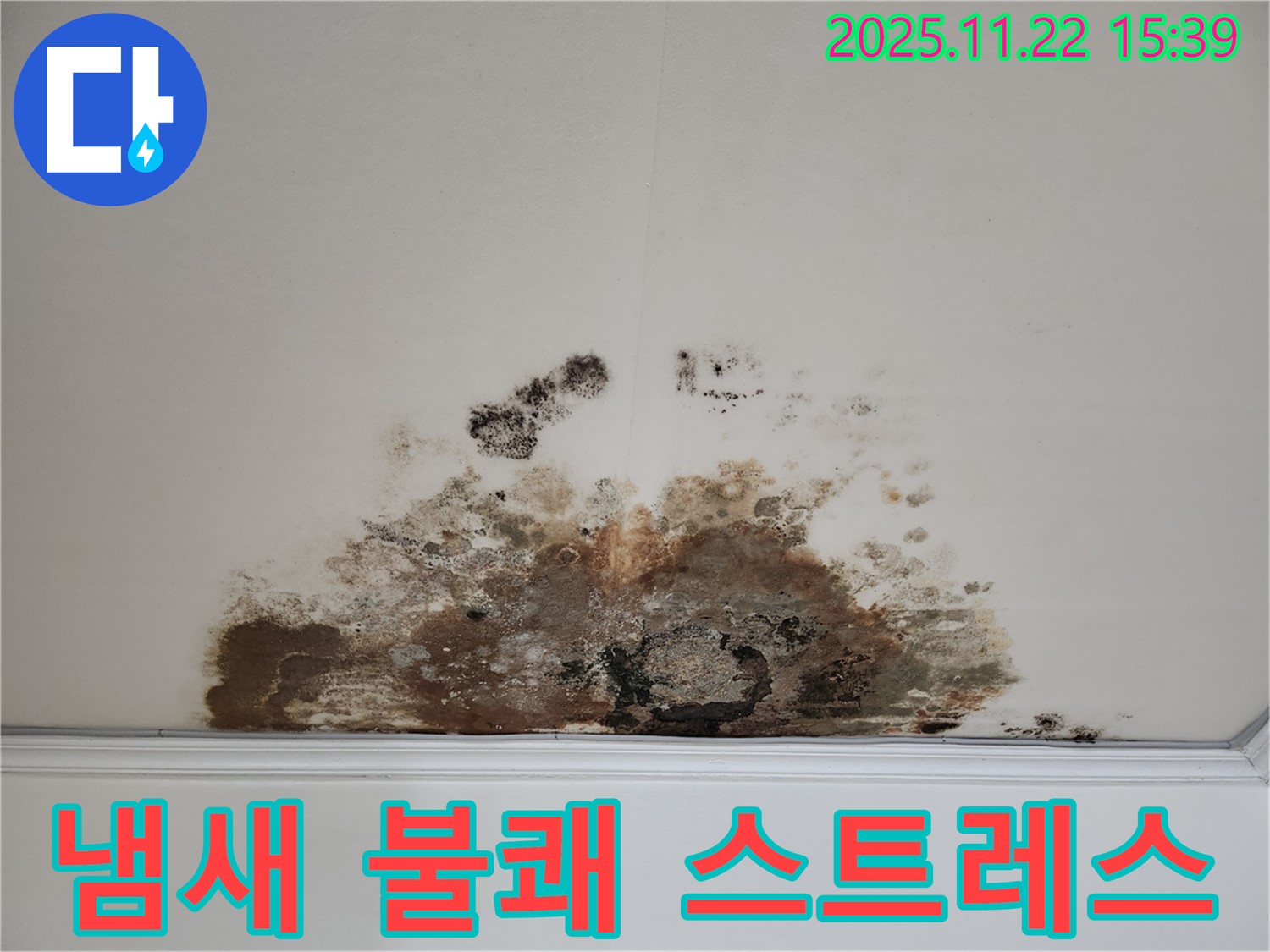 용강동 아파트 - 곰팡이 천장, 곰팡이 냄새로 불쾌지수 상승 및 스트레스 유발