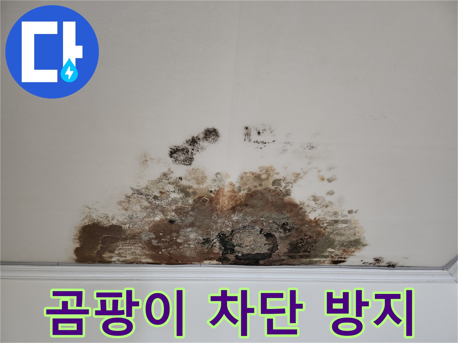 용강동 아파트 누수 - 곰팡이 천장 완벽 차단 및 재발 방지