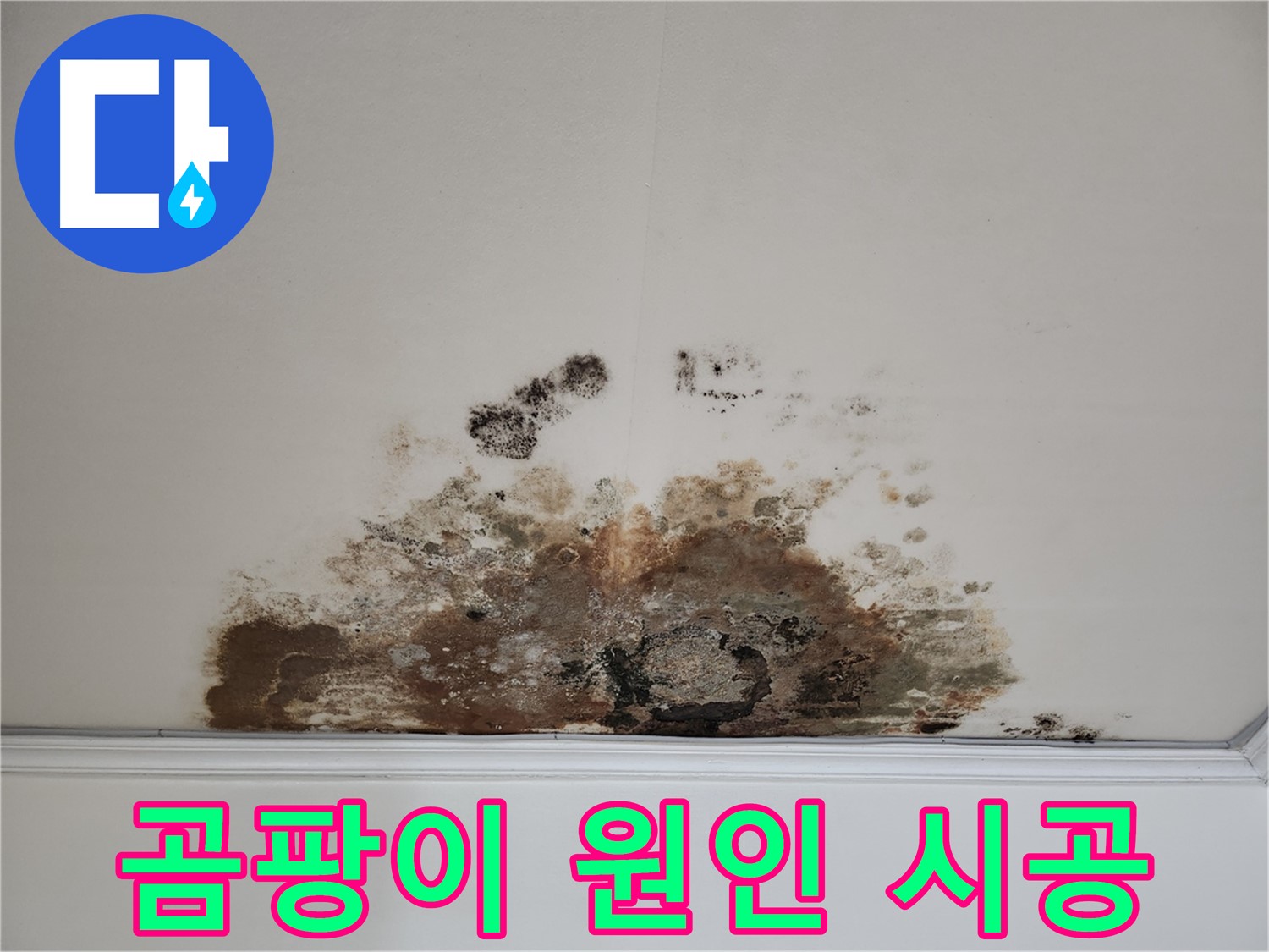 용강동 아파트 누수 - 곰팡이 천장 원인 분석부터 완벽 시공