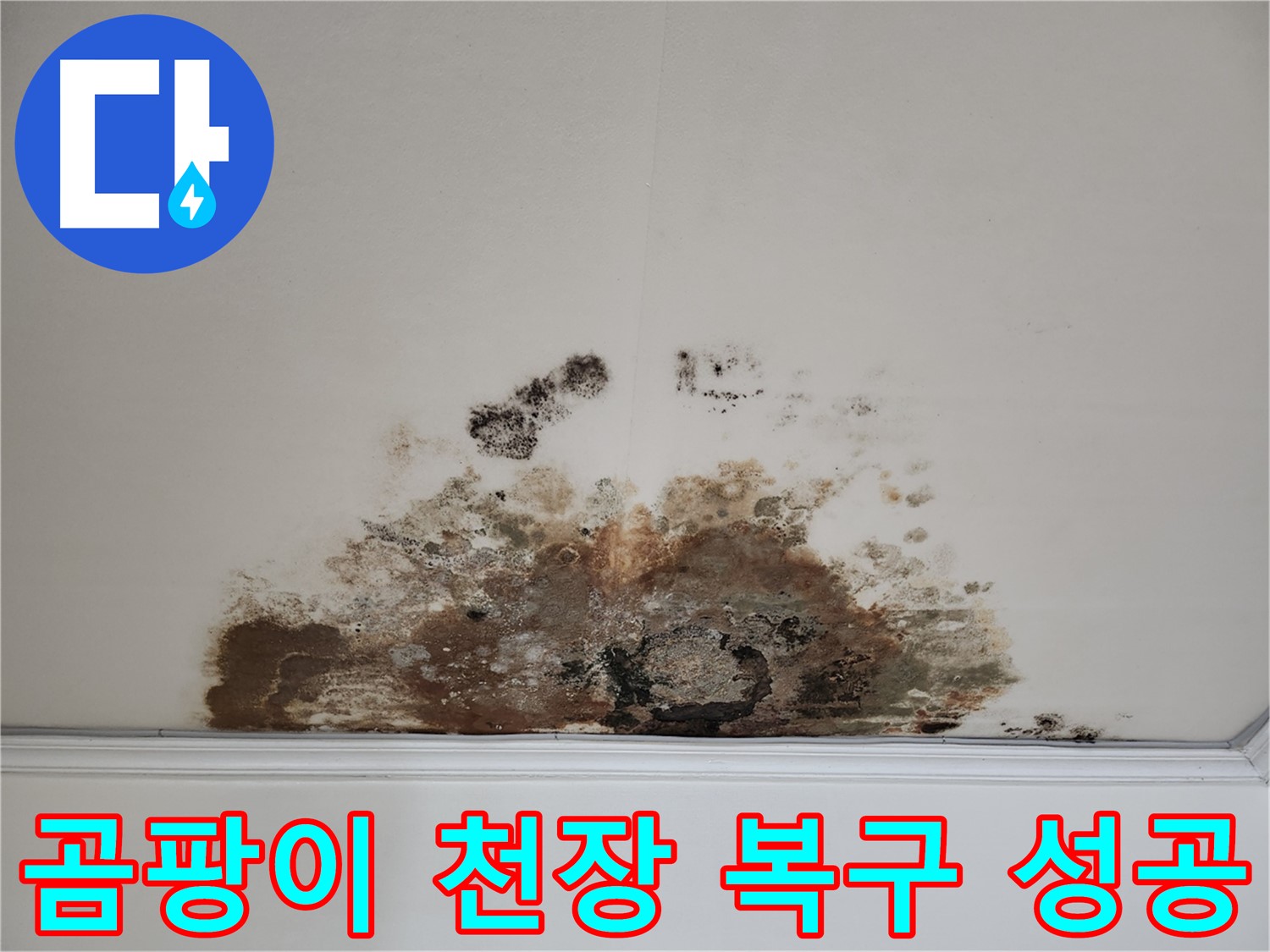 용강동 아파트 누수 - 곰팡이 핀 천장의 완벽 복구 대작전